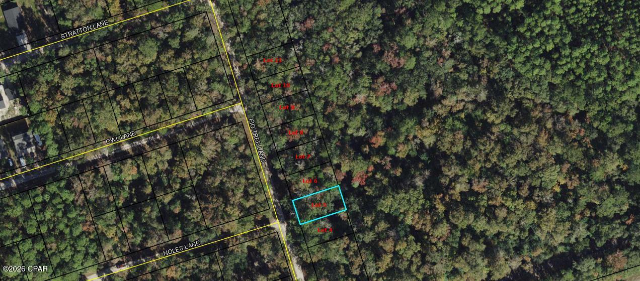 Vacant lot available on Fig Tree Ln in Crawfordville. Great opportunity for builders or investors in a growing area. Convenient and peaceful location just a short drive to the coast. Note: This listing is for one lot. A total of eight adjoining lots are available for purchase.

Buyer to verify all measurements, lot dimensions, and any information deemed important.