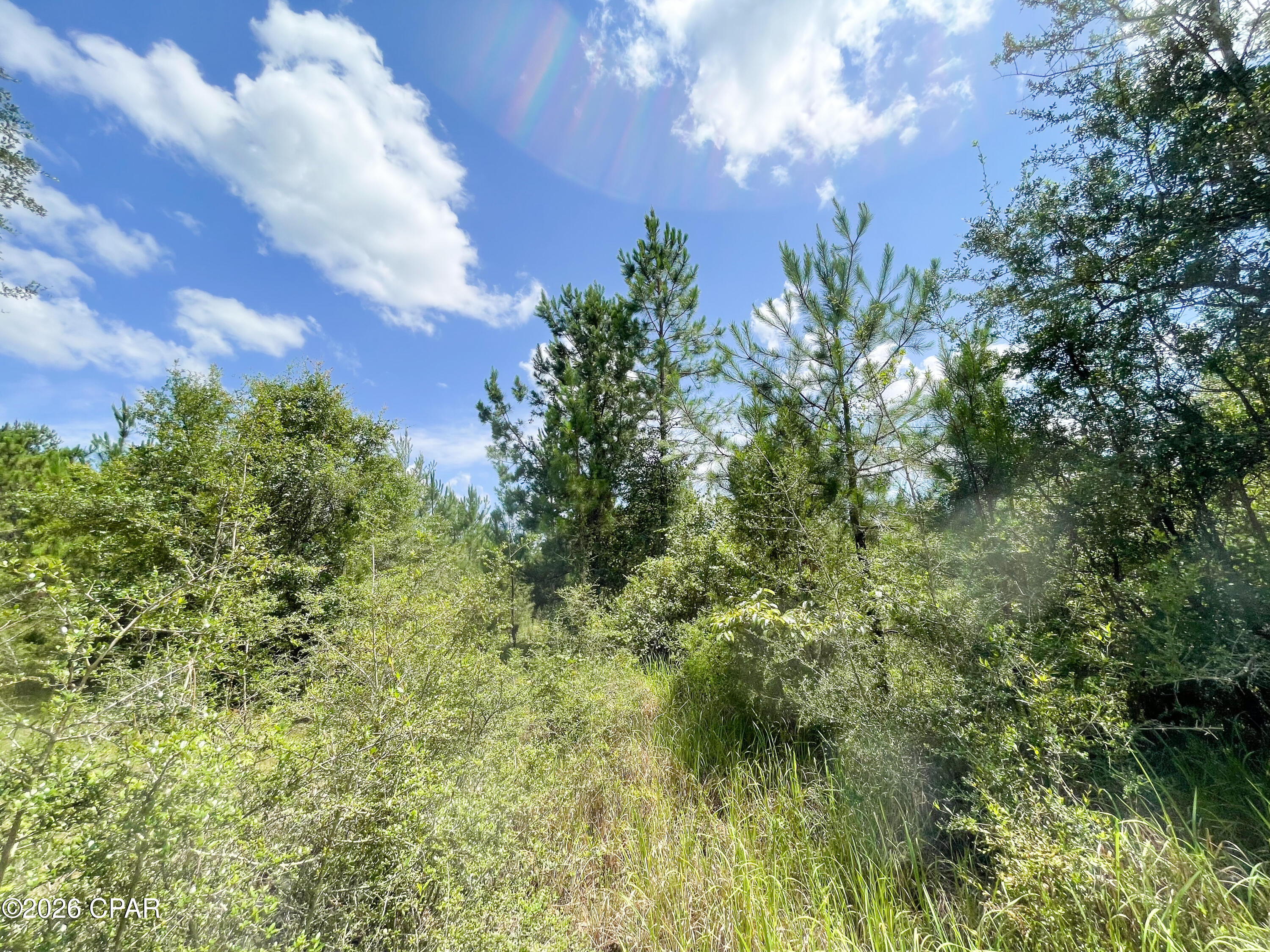 Pine Ridge Estates - Land