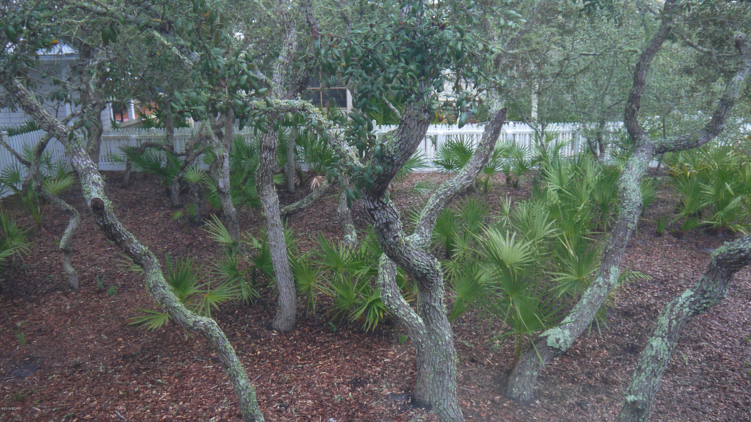 Carillon Beach - Residential