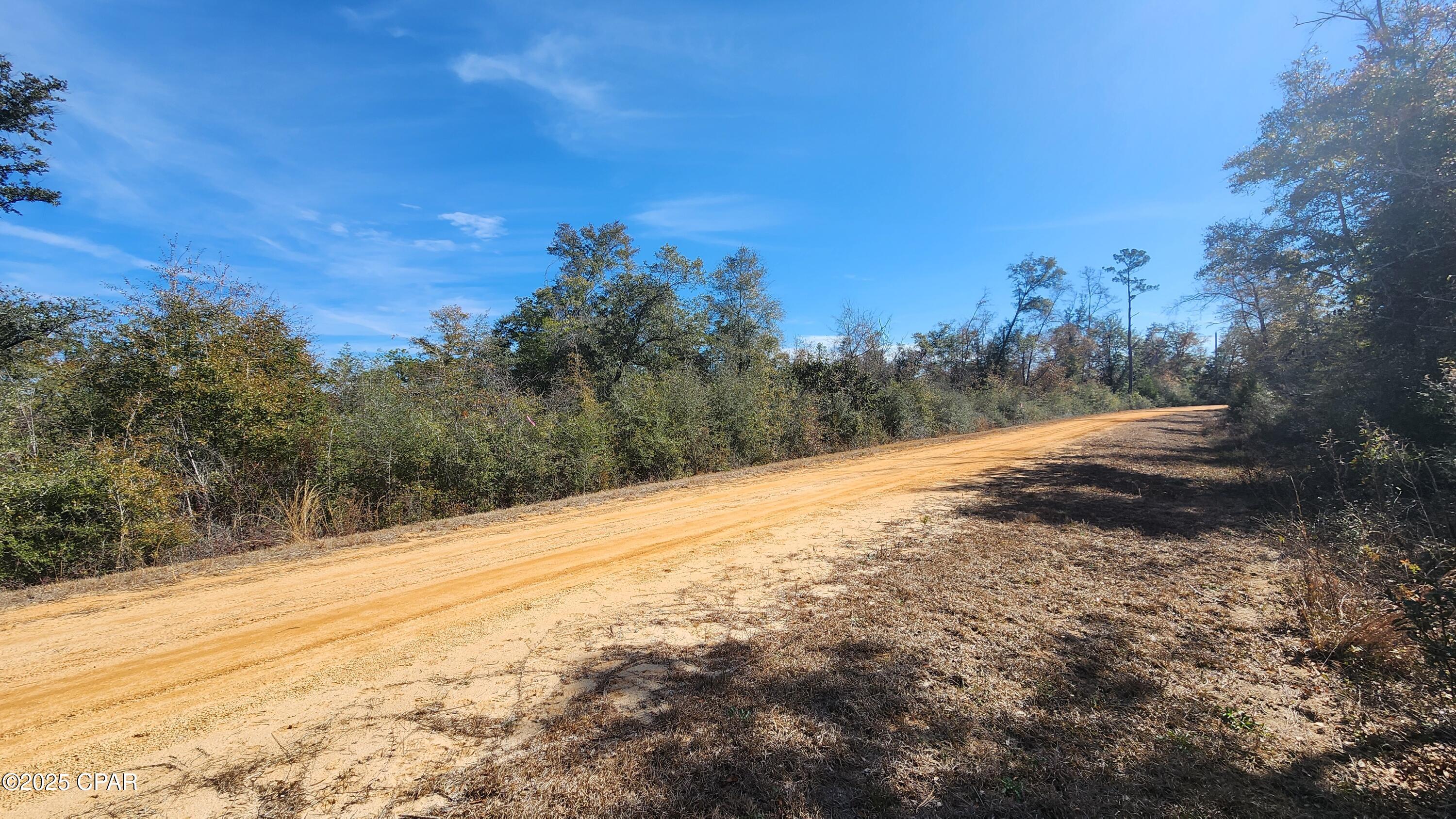 Vacant lot on Fargo Dr. in Compass Lake in The Hills Unit 6 which is west of HWY 231.  Lot will require private septic system and private well.  Electricity is across the street from the lot so a short distance to bring into this lot. Lot is located 1 mile off HWY 231 for easy commute to Dothan or Panama City. Voluntary HOA fee of $135.00 annually which allows access to all the amenities that Compass Lake and McCormick Lake offer.  Community pool, tennis and pickleball courts, driving range, frisbee golf course, stables, community center, beach, picnic shelters, cabins and rv sites in addition to boating and fishing.
