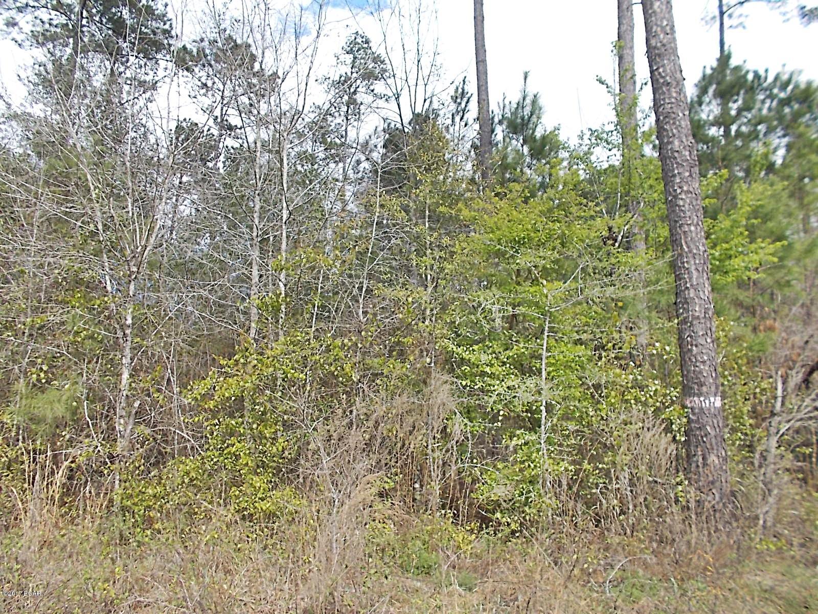 No Named Subdivision - Land