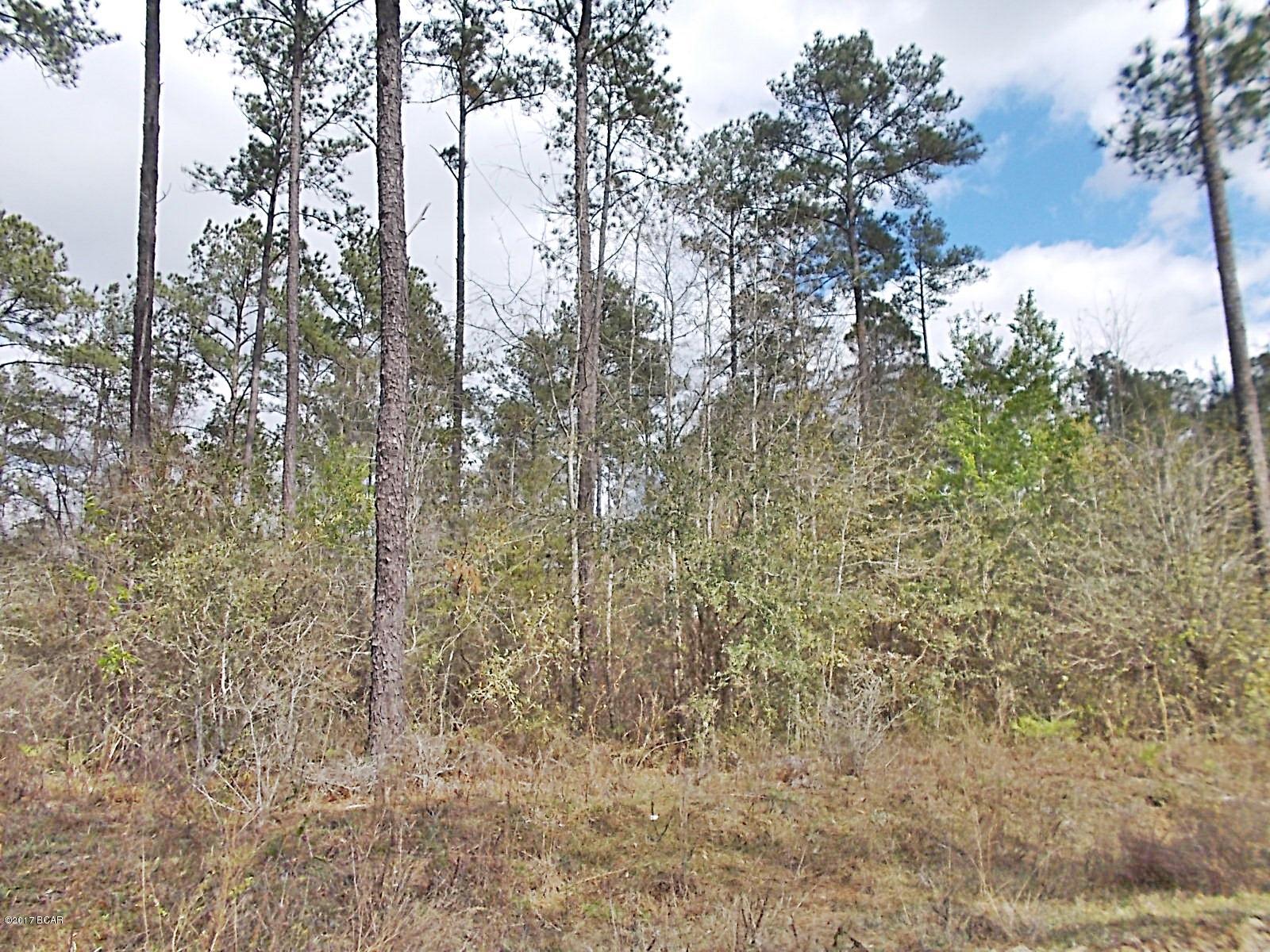 Very nice wooded parcel for building or a mobile home, very good hunting in this area also, there  is a 12 ac parcel beside this one that has the same owner for sale both would make a nice 24 ac parcel.