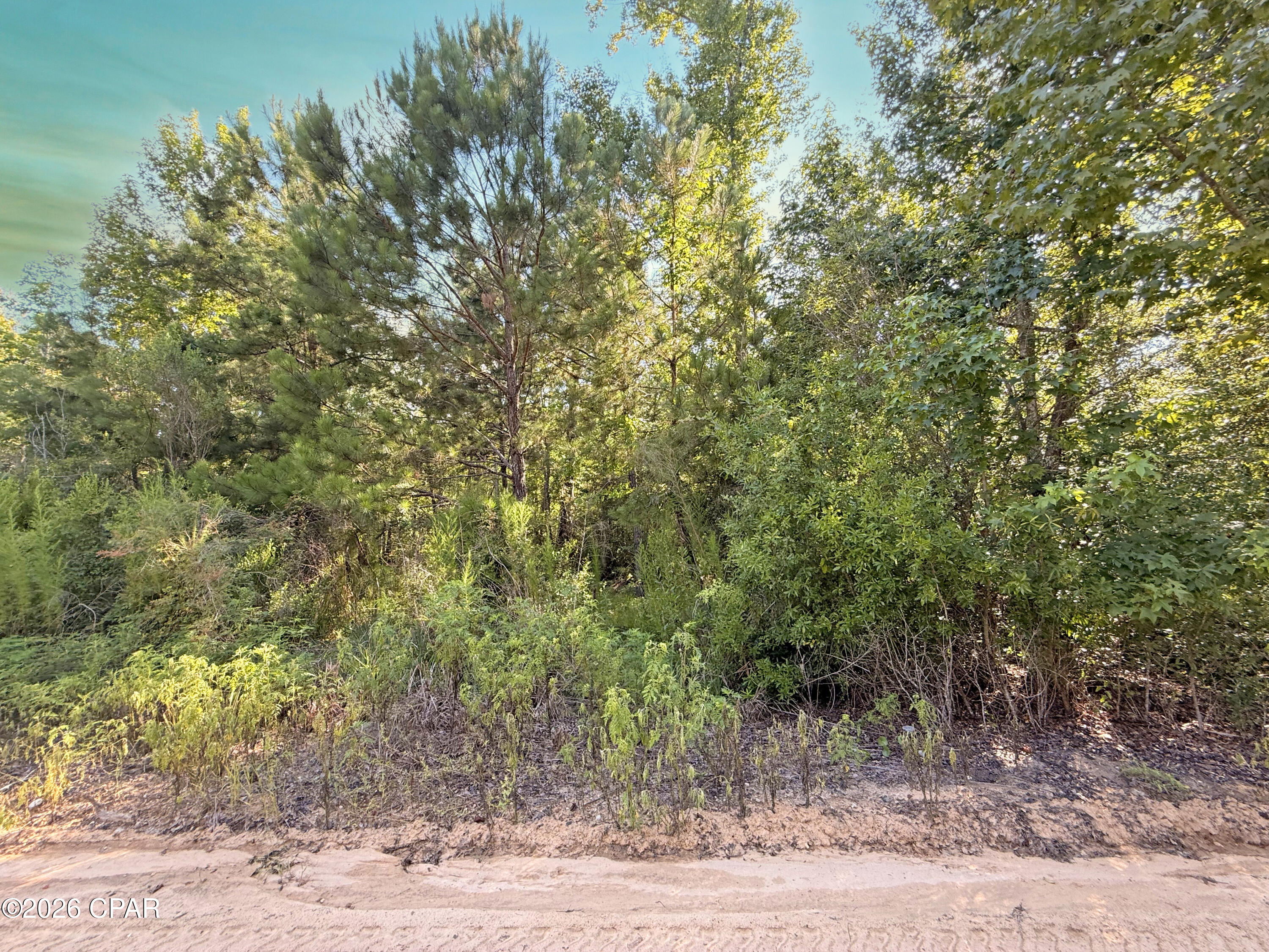 A rare opportunity to own over 4 acres of Old Florida charm! Once a cherished family homestead, this beautiful parcel is ready for its next chapter. The original wood-frame home was demolished in 2019, leaving behind a spacious homesite surrounded by mature trees and peaceful country scenery. Existing utilities are believed to be on the property; however, their location and condition are unknown and should be verified by the buyer. The property's picturesque pond offers the potential for your own private fishing spot, while just across the road you'll find convenient access to the Chipola River. Renowned for its crystal-clear waters and outstanding recreation, the river is a favorite destination for anglers seeking bream, bass, crappie, catfish, and shellcracker. Spend your days kayaking, boating, swimming, or simply taking in the natural beauty that makes this area so special. Whether you're dreaming of building your forever home, creating a private weekend retreat, or investing in a property surrounded by Florida's abundant outdoor recreation, this exceptional acreage offers the perfect blend of tranquility, adventure, and endless possibilities.