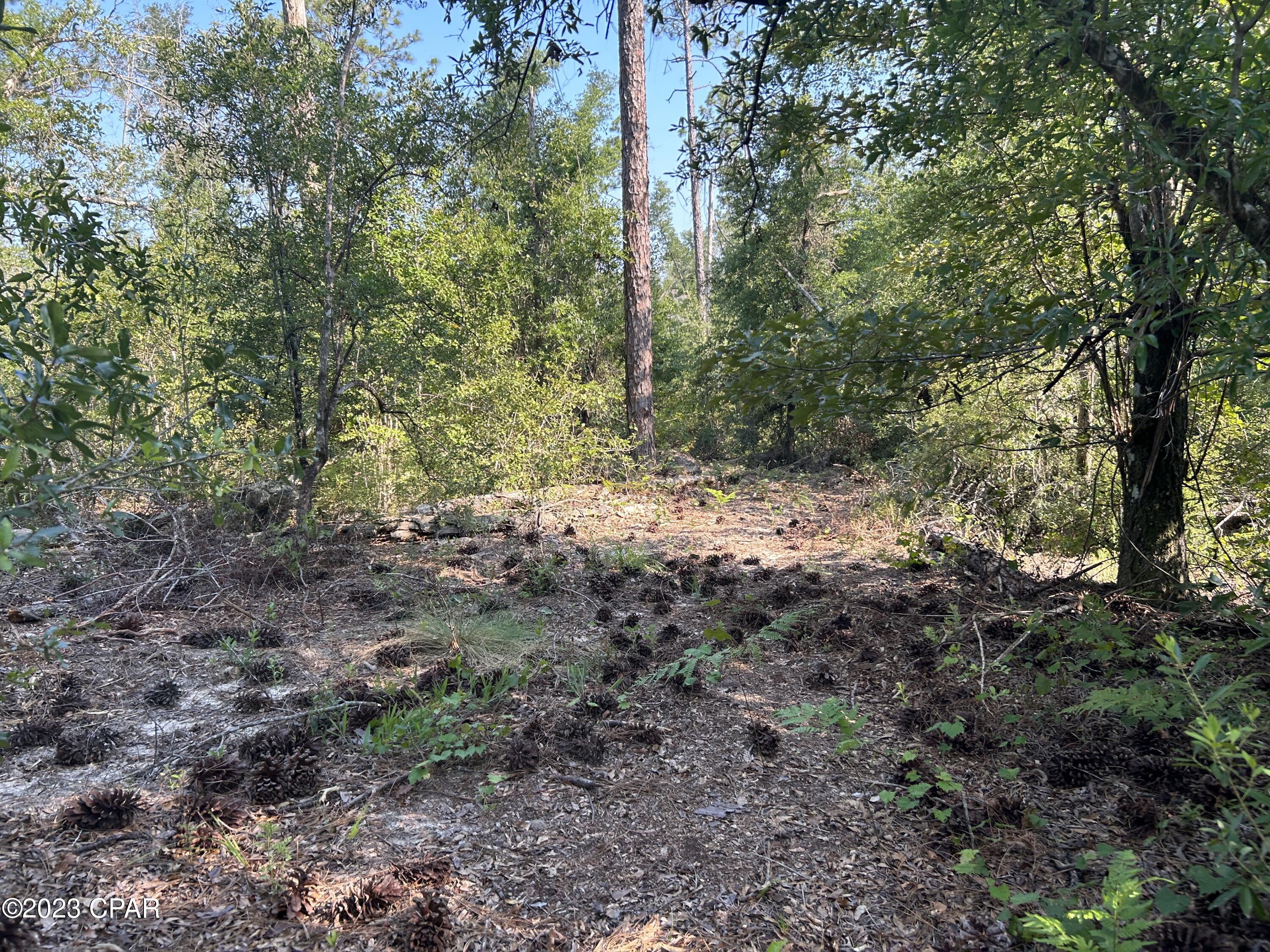 [No Recorded Subdiv] - Land
