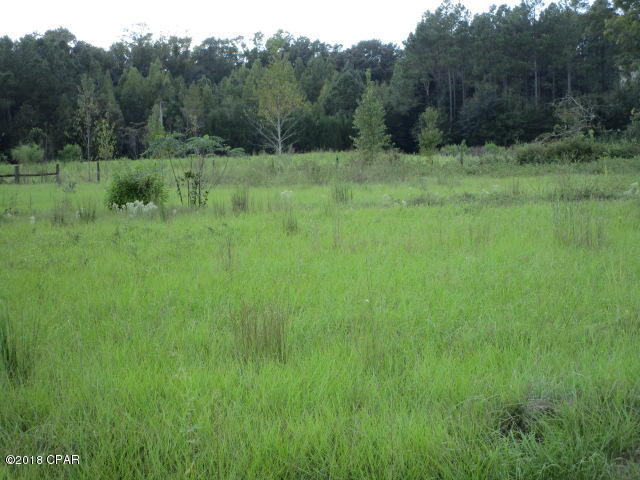 Nice level lot in Bristol.  Close to schools, river and national forest.  Short commute to Tallahassee and Marianna.