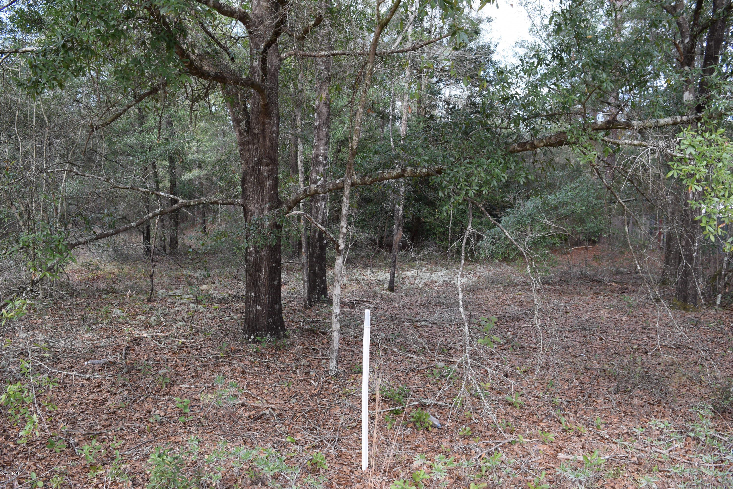 Fla Hwy Ests S Park Sec - Land