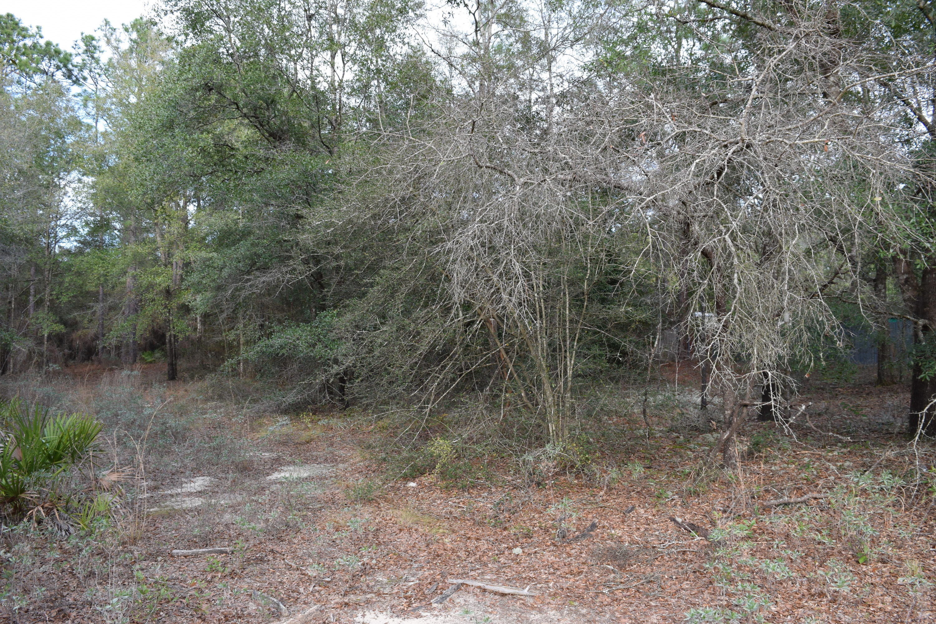 Fla Hwy Ests S Park Sec - Land