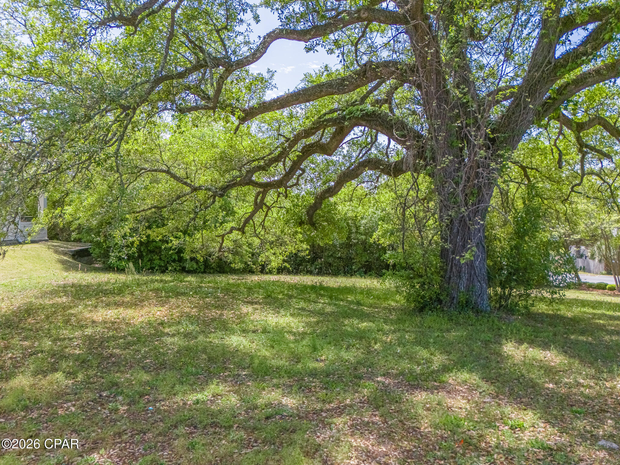 Cove Pointe - Land