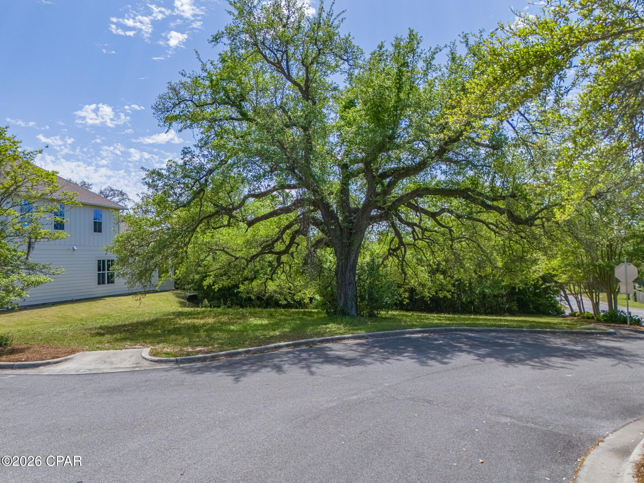 Cove Pointe - Land