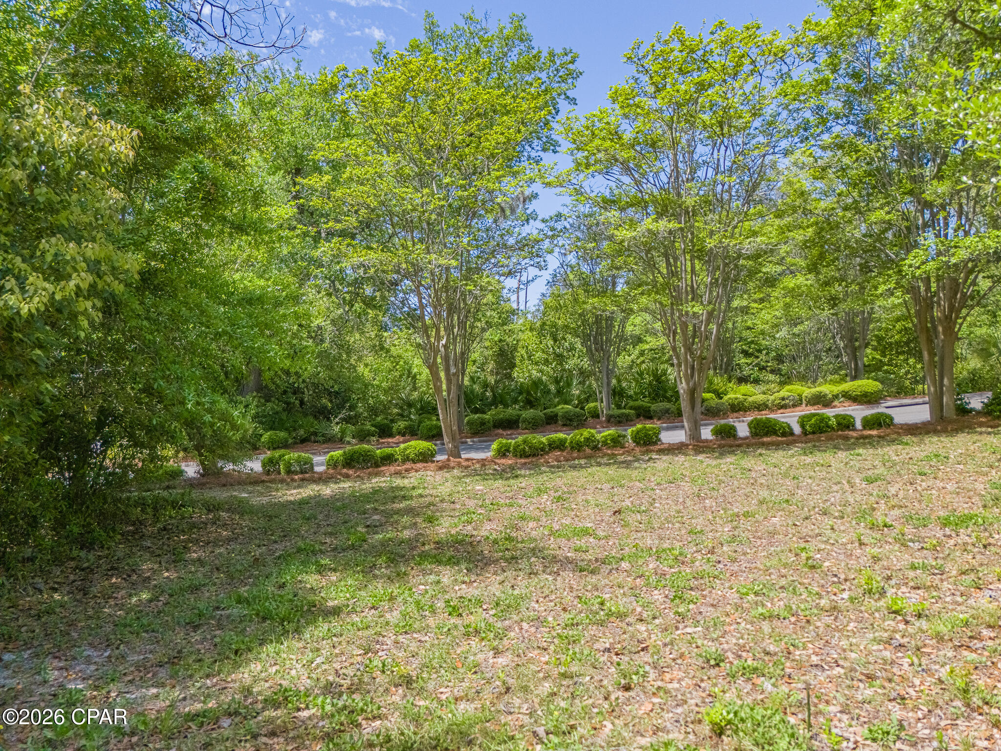 Cove Pointe - Land