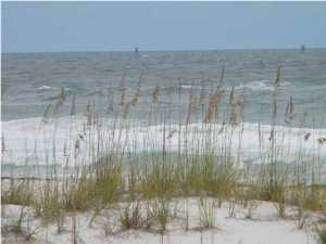 Laguna Beach Estates 9th Add - Land