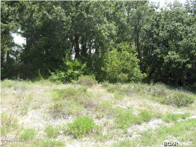 Two lots (4 and 5) with (.396 acres)and (1.198 acres) respectively.

Property borders preservation acreage, giving total privacy and views of Florida's beautiful pine and magnolia savannahs, Gulf views from an elevated building pad. Survey available.