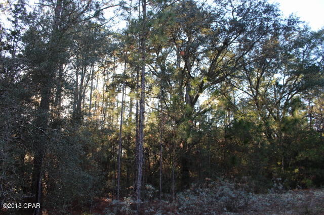 Compass Lake In The Hills - Land
