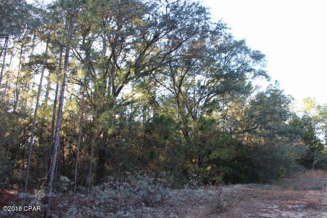 Compass Lake In The Hills - Land
