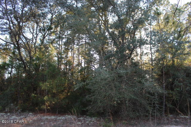 Compass Lake In The Hills - Land