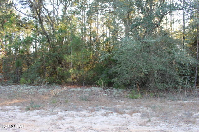Compass Lake In The Hills - Land
