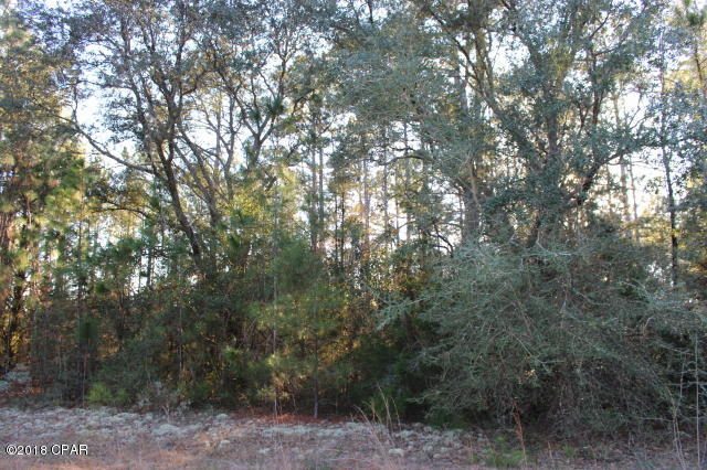 Compass Lake In The Hills - Land