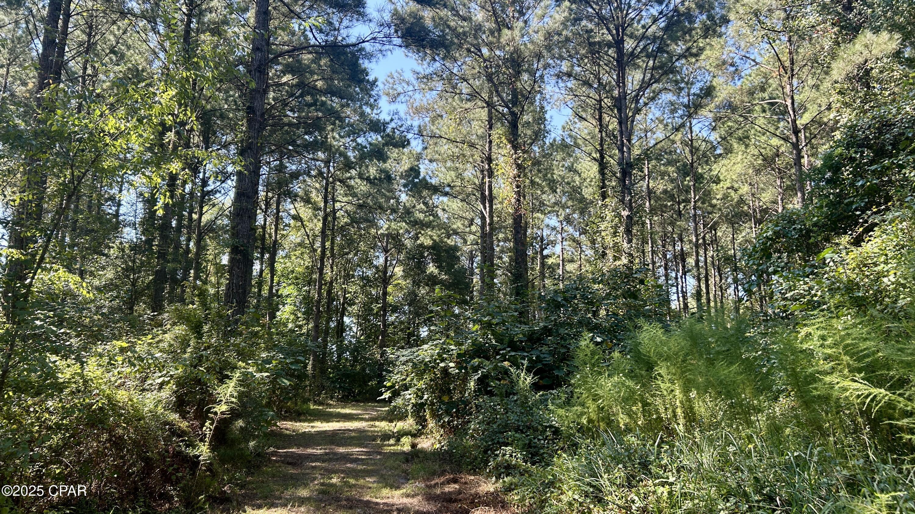 Other - Land