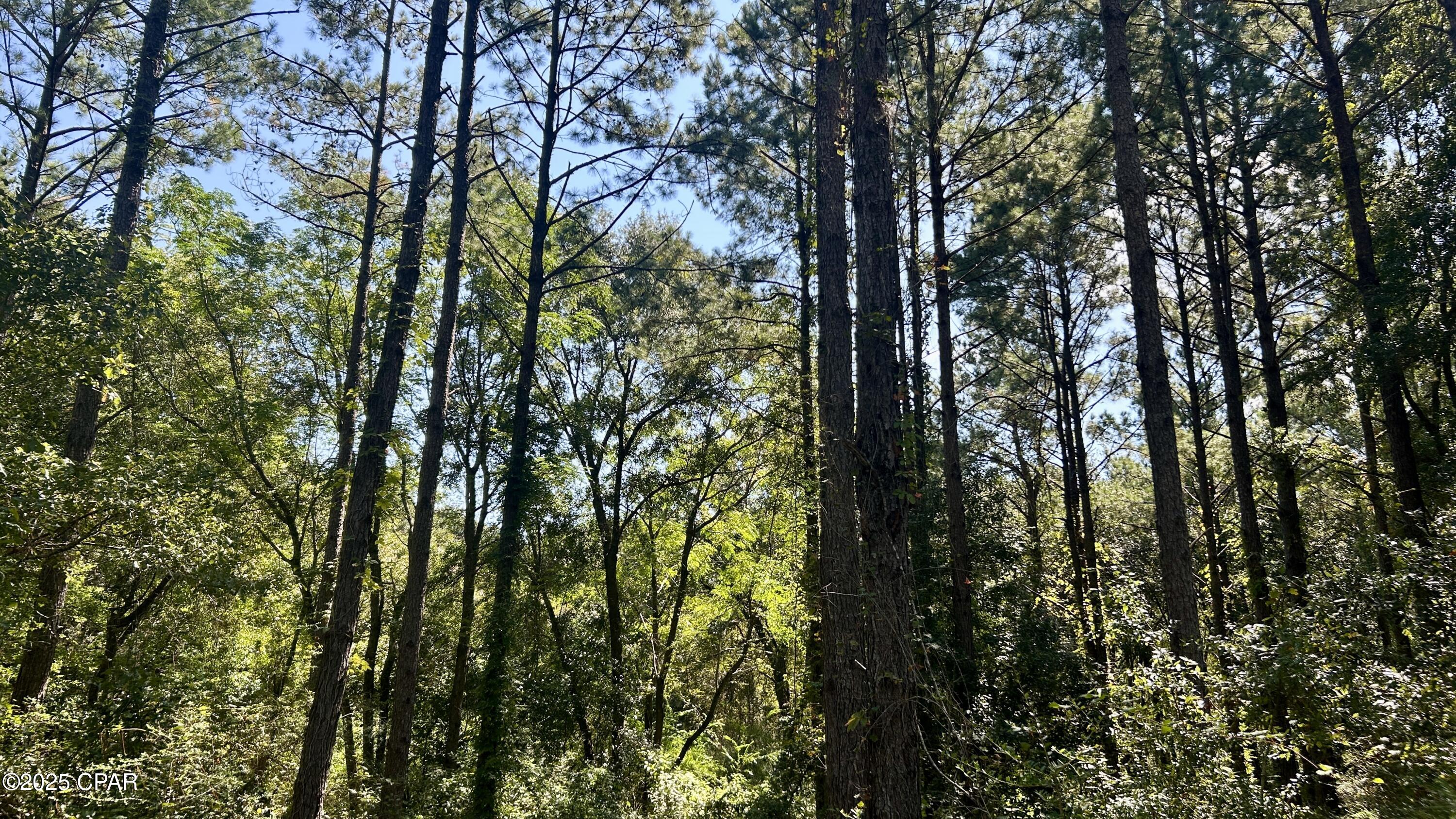 Other - Land