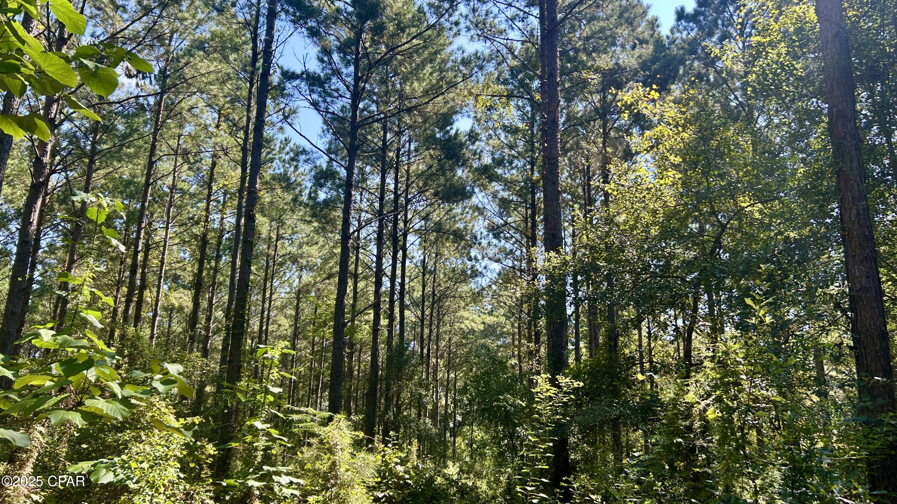Other - Land