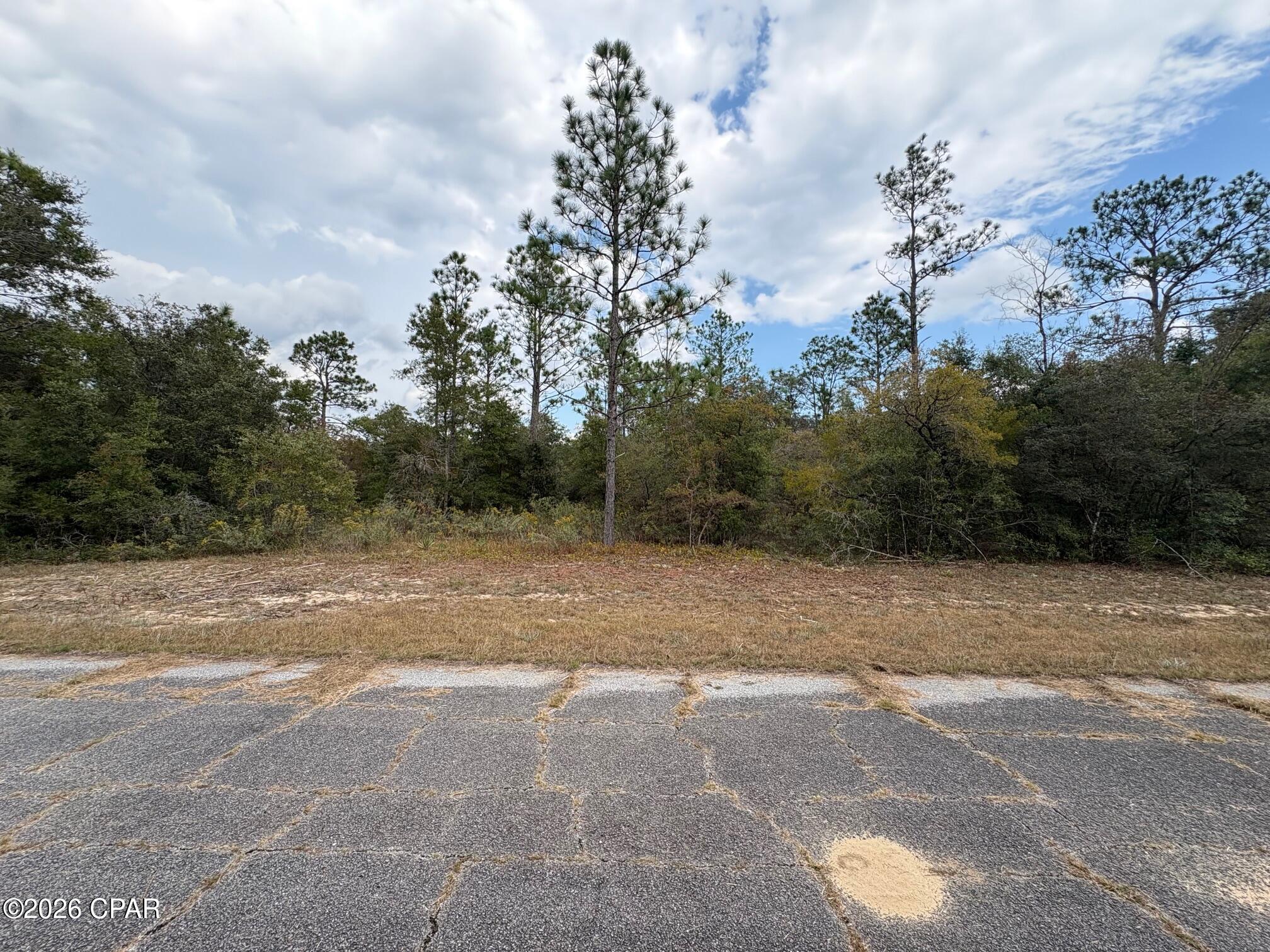 Excellent opportunity to own a .229 acre flat and level building lot in Unit 1 of Sunny Hills, located at Lot 20 on Fusion Circle. This homesite is situated in the rapidly growing section of Sunny Hills, not far from Sunny Hills Blvd and the main entrance to the community. According to US Water Corp. water connection is available for this lot (BUYER TO VERIFY) and power is present at the street! Whether you're a builder, investor, or future homeowner, this parcel presents an excellent opportunity for a beautiful and peaceful building site. Sunny Hills continues to attract buyers due to its convenient access to Highway 77, with Chipley to the north and Panama City and the Gulf Coast beaches to the south. If you're looking for a competitively priced investment in a booming Northwest Florida community, this lot deserves your attention.