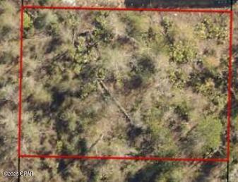 Build your dream on this secluded lot in the Fountain area of Bay County. Just a short drive to the world's most beautiful beaches, natural Florida Springs, and all the conveniences and luxuries of the Panama City area while still having your own quiet place to get away from it all. Call your favorite Realtor today to learn more about this property
