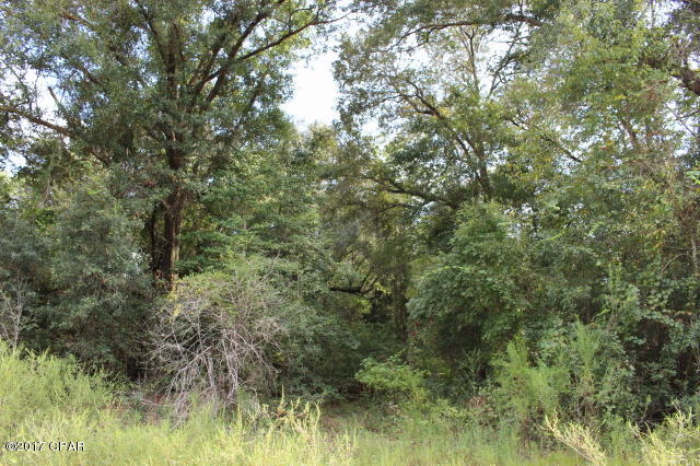 18.75 Acres that is wooded with nice oak and pine trees.  Close drive to a paved road. Plenty of building sites to choose from.