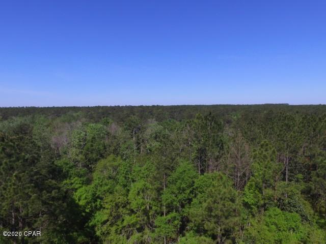 Looking for the perfect escape from the city? This beautiful property with lots of privacy just hit the market.   Close to National Forest and rivers.