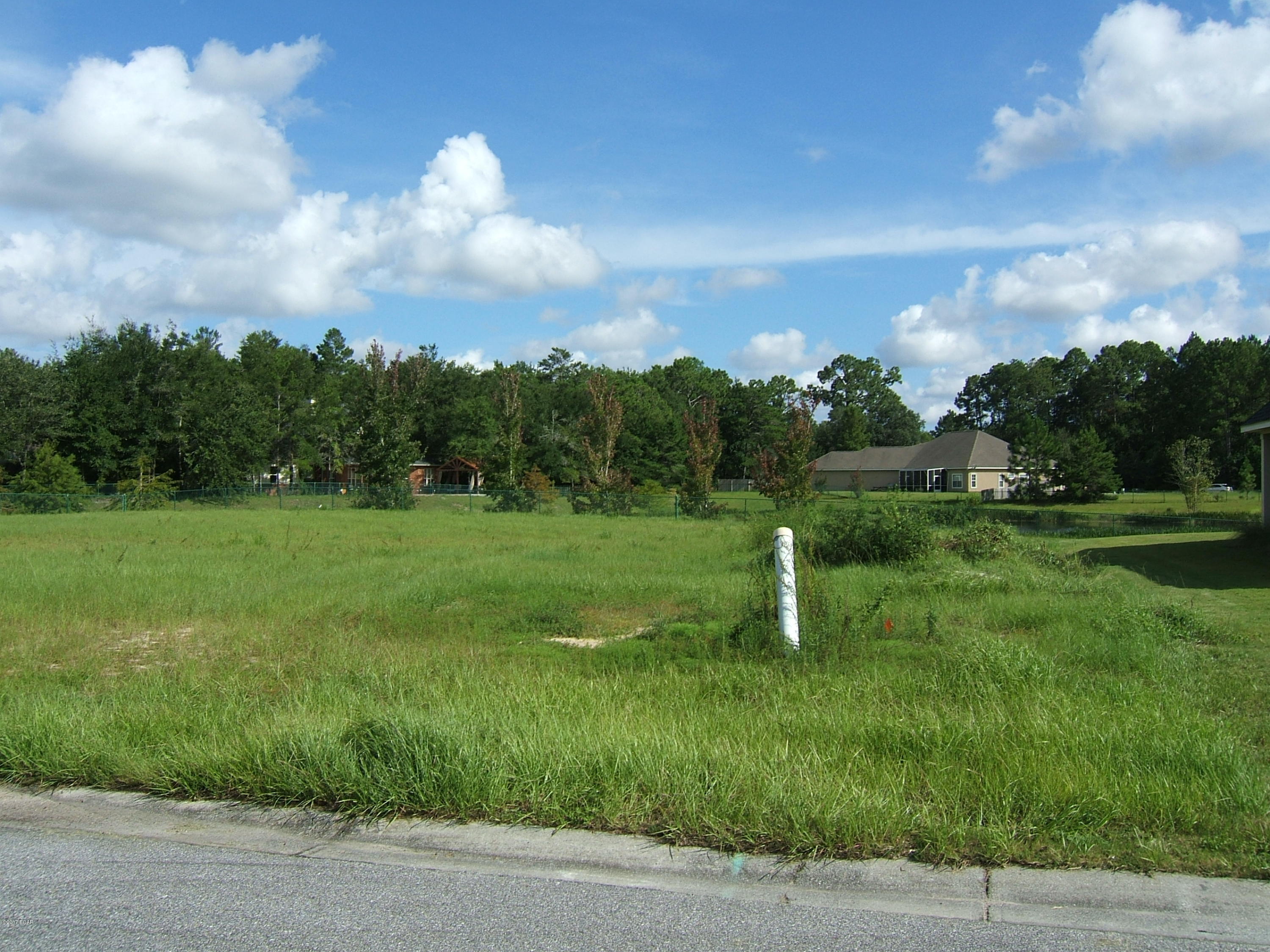 The Meadows & The Pointe - Land