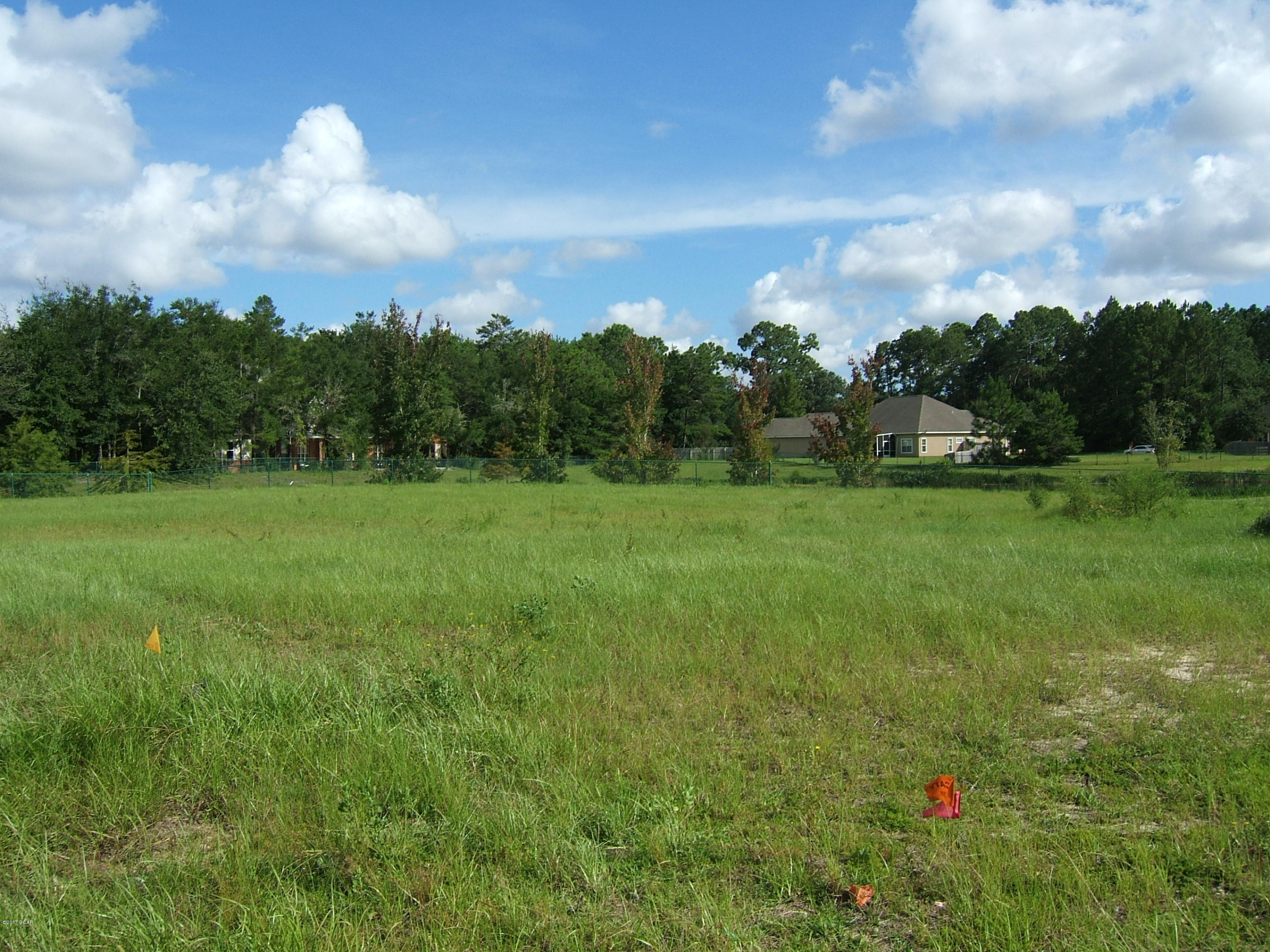 The Meadows & The Pointe - Land