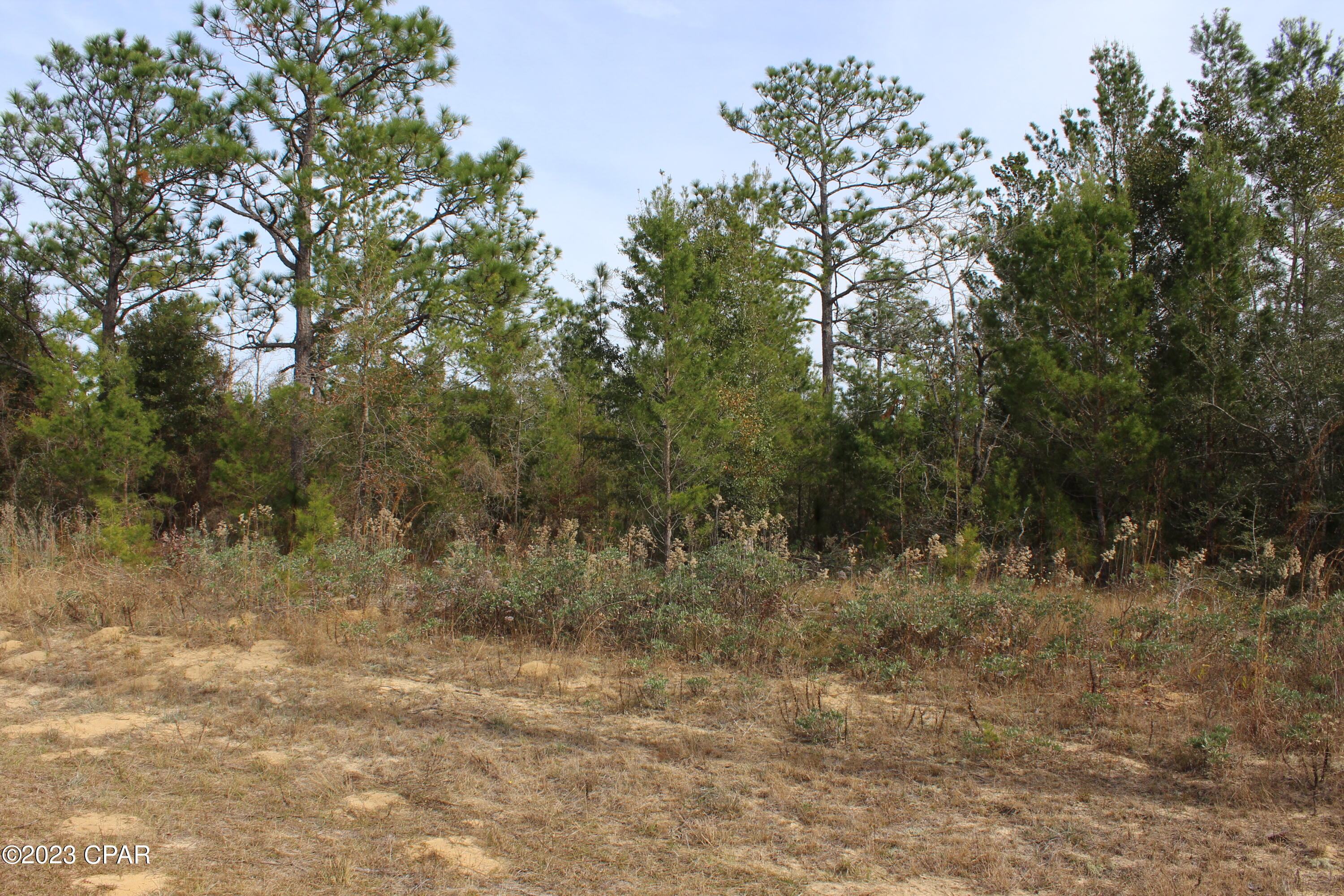 Features of this homesite offers a level landscape with hardwoods and pines.  No build time in the Sunny Hills neighborhood that offer 26 lakes for your water activities, many churches, a golf course, community center with tennis courts and basketball.  Plenty of great roads for bike riding with the family and friends.  Easy access to town to the South or North on Hwy 77 and then minutes away from Pier Park at Panama City Beach and the airport.  Go take a look, we won't mind....