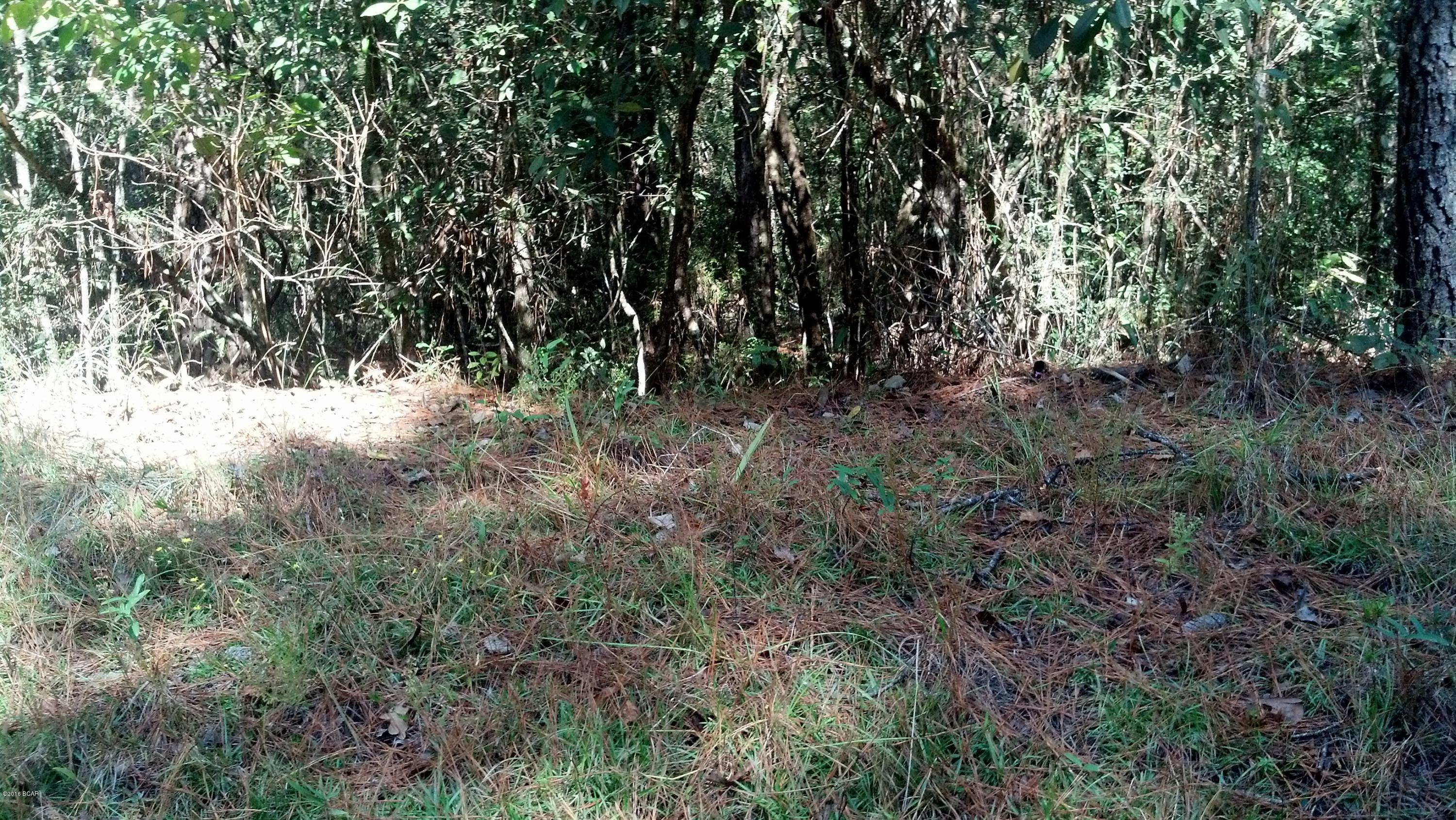 Heavily wooded acreage with frontage on State Hwy 77 and Rogers Road in rural Washington County.  This parcel consists of approximately 20 acres, with a small portion being separated by Rogers Road. There is a large metal building on the property.  At one time there was a well and septic system in use on the approximately 3 acres across (west side of) Rogers Road, but the buyer should determine if they are still in working order.