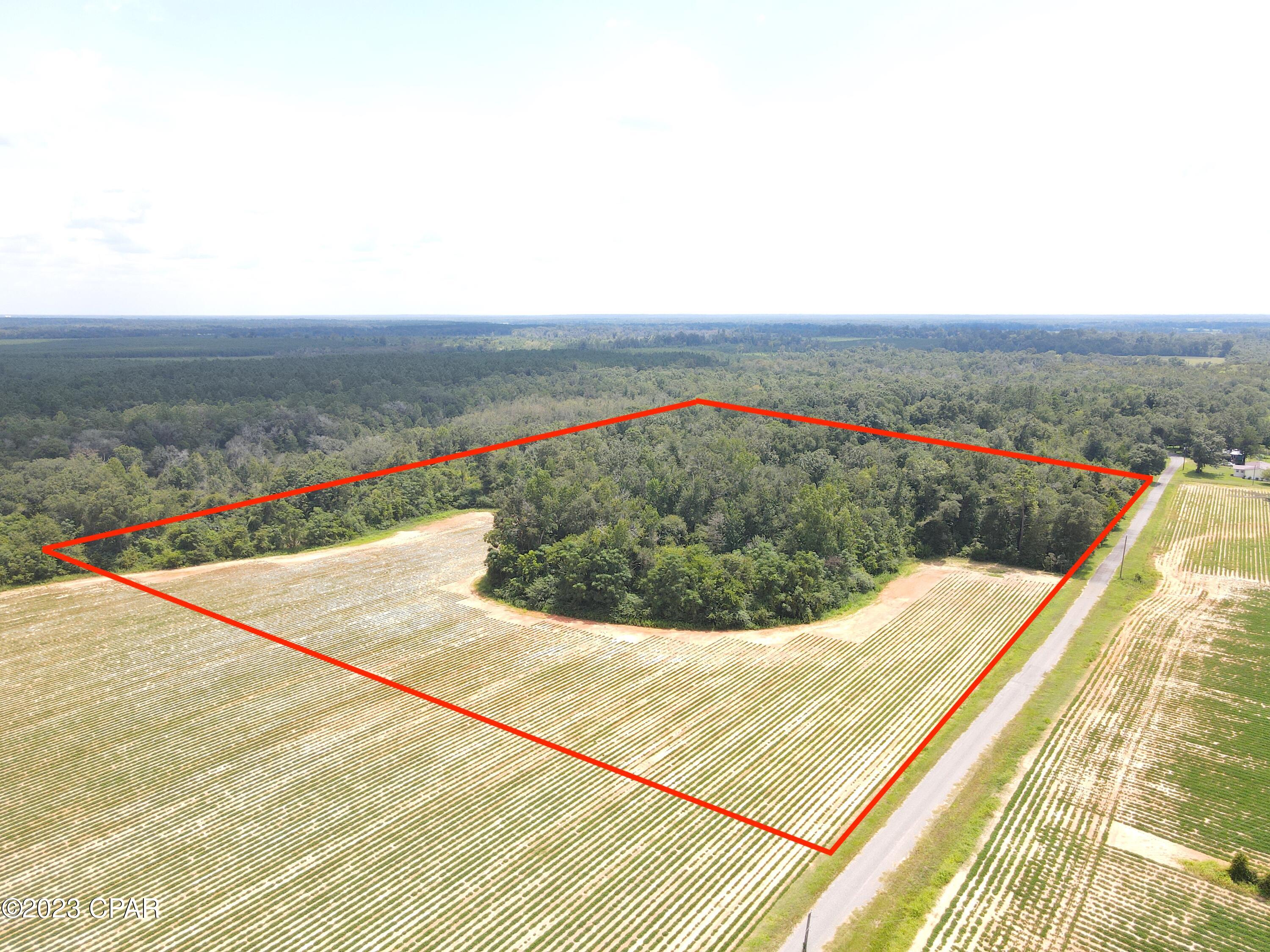 Welcome to a truly unique 10-acre vacant land opportunity offering a blend of fertile agriculture row crop land and serene woodlands. This remarkable property is a haven for those seeking a peaceful sanctuary. Half of this expansive land is dedicated to a thriving peanut field, its fertile clay soil providing the perfect foundation for future agricultural pursuits. The other half of the property boasts healthy woodlands, with high and dry terrain. Abundant whitetail deer and wild boar roam this serene property. And the location? It couldn't be more convenient. Just a short drive away, you'll find the charming town of Marianna, FL, and the vibrant city of Dothan, AL. Enjoy the best of both worlds, with the peacefulness of the land and the amenities of nearby communities at your fingertips. In addition, the coastal paradise of Panama City, FL is just a short journey away, offering endless opportunities for relaxation and recreation. Embrace this exceptional opportunity to own a versatile 10-acre property that offers agricultural potential, thriving woodlands and a picturesque homesite. No survey available. Boundaries are approximate and should be confirmed by buyer.