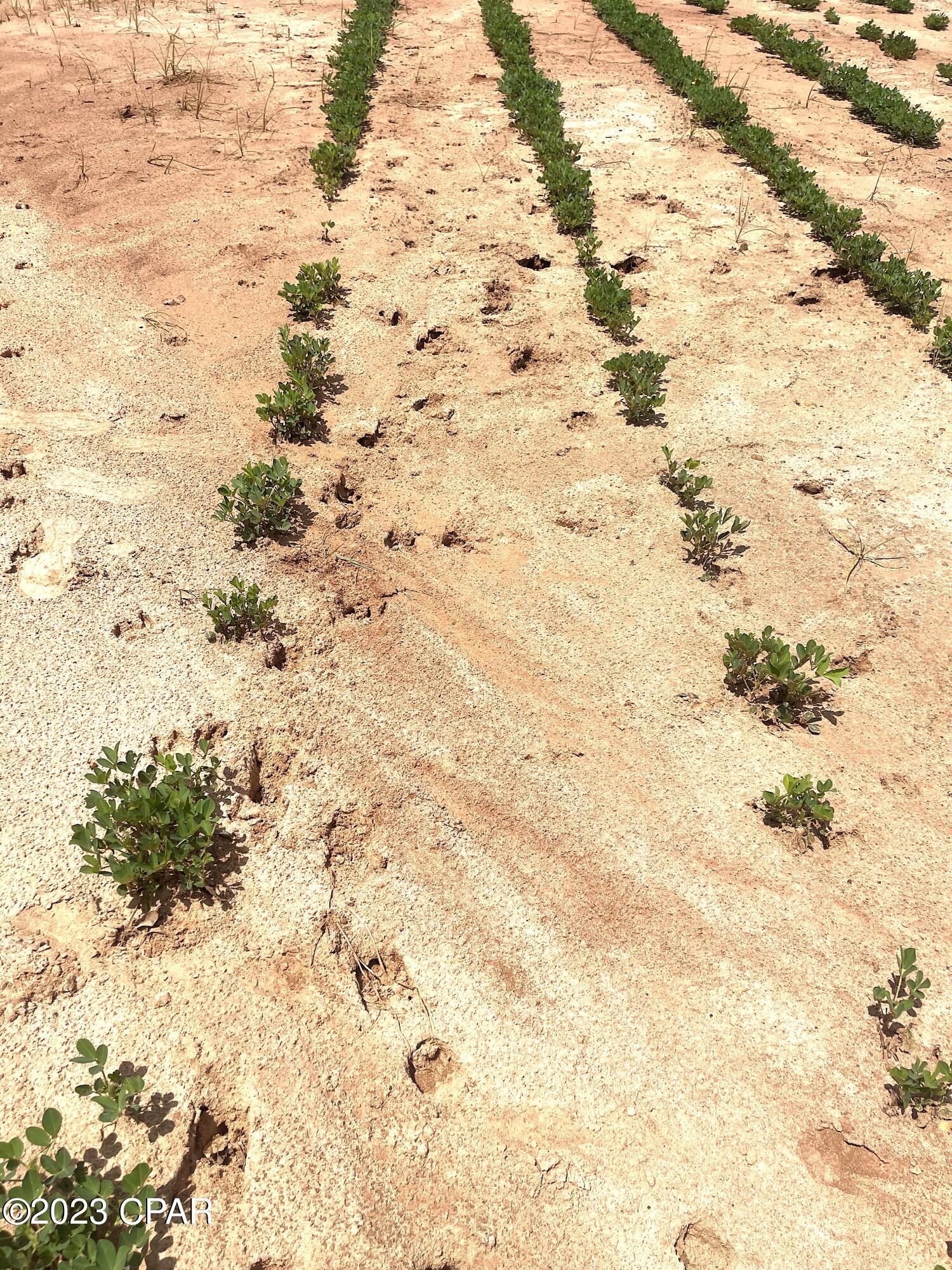 [No Recorded Subdiv] - Land