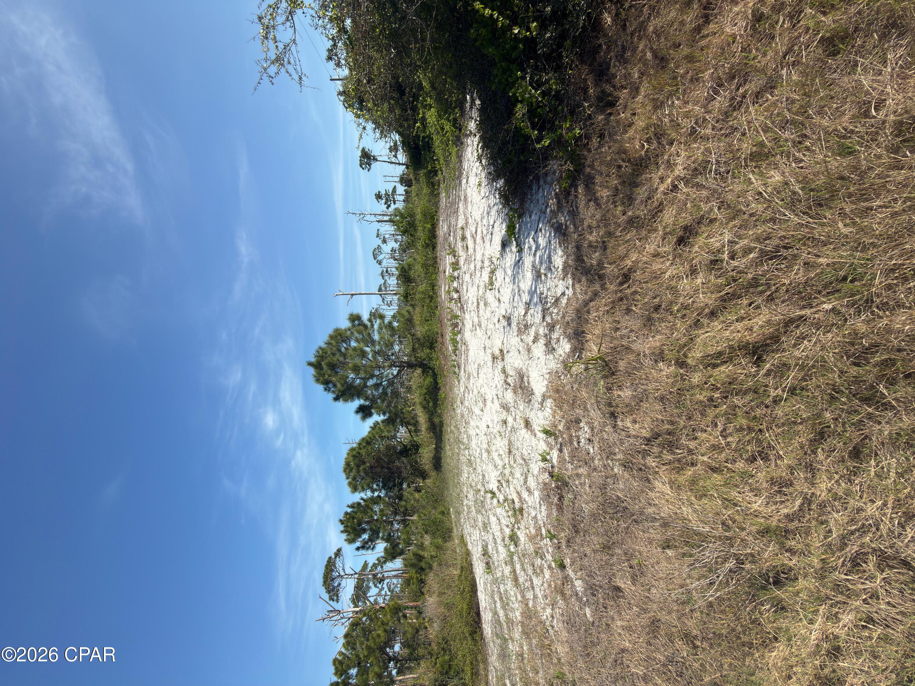 Rare opportunity with this over 1/2 acre North Cape San Blas building site. This large lot checks all the boxes; potential footprint in the coveted X flood zone for ground floor living and no flood insurance, deeded and dedicated dock access, Gulf of America views over William J Rish State Park, and a beautiful setting adjacent to a coastal dune pond. This true gem of a lot has great beach access and it is located equidistant about 2000 feet from Cape Palms Park (Gulf County) or William J Rish State Park. Bring your plans and get ready for the best that the Gulf and Bay offers at Beautiful Cape San Blas. Adjacent home for sale, see MLS Listing 787664.