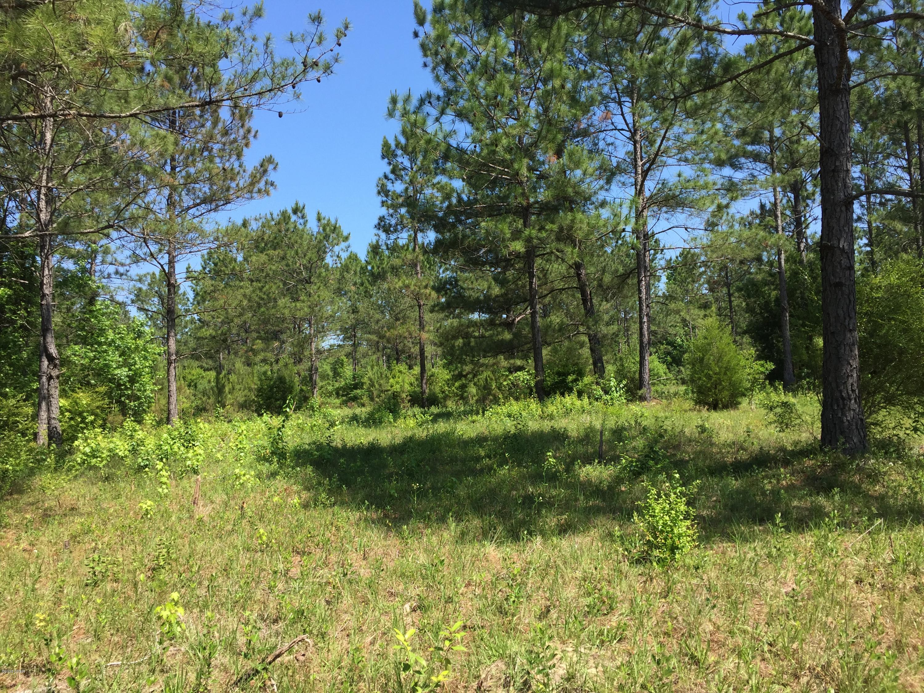IF YOU'RE LOOKING FOR A BEAUTIFUL HOMESITE IN THE COUNTRY, HERE IT IS! NICE ACREAGE AT THE END OF A SHORT GRAVEL ROAD. BEAUTFUL MATURE PINES AND AWESOME SECLUSION. COME TAKE A LOOK TODAY!!