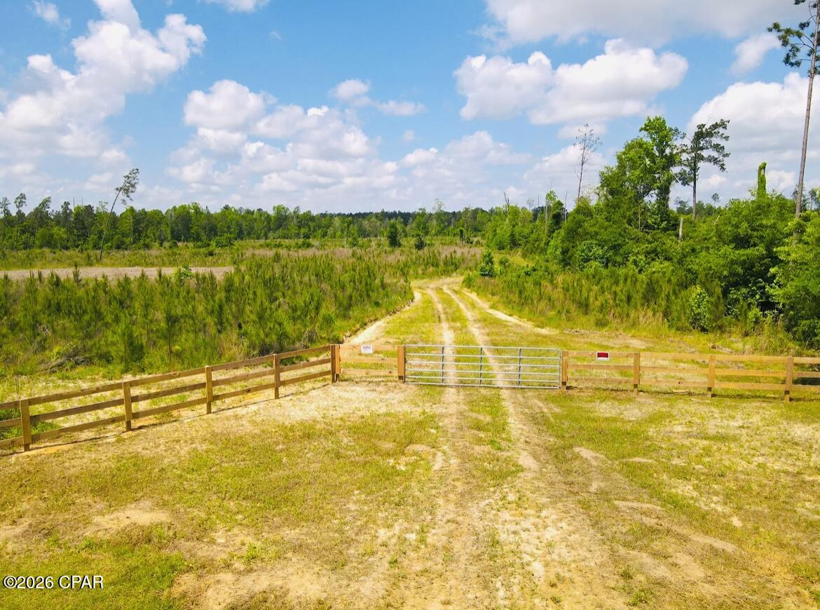 Discover 59± acres of premier recreational and investment land in beautiful Jackson County, Florida -- a true outdoorsman's paradise ideally positioned near Lake Seminole and the Apalachicola River. Renowned for exceptional hunting and fishing opportunities, this property offers the perfect blend of seclusion, wildlife habitat, and future value.
Surrounded by productive farmland and large tracts of state-owned land, the property creates a natural sanctuary for abundant wildlife including whitetail deer, turkey, quail, and duck. Carefully planned food plots and a well-maintained internal road system provide seamless access throughout the property, allowing hunters to move efficiently to and from strategically placed tree stands regardless of wind direction. The established road network also allows for easy ATV or vehicle access for equipment transport and game retrieval.

Enhancing the habitat even further, each food plot is lined with young apple, pear, and sawtooth oak trees that provide supplemental forage and attract wildlife year-round. A nearby creek serves as a natural water source, helping sustain the area's thriving game population and making this property especially attractive for serious hunters and conservation-minded buyers alike.

Approximately ½ acre has been cleared and improved, featuring a newly constructed 36' x 48' pole barn, RV hookup with deck, and a deep well already in place. Whether you envision building your dream country home, creating a hunting lodge, or simply enjoying a private weekend retreat, the groundwork has already been laid.

The remainder of the acreage has been planted in elite loblolly pine -- one of the fastest-growing and most desirable timber varieties available. Planted in 2023, the impressive growth already visible throughout the property highlights both the land's productivity and its long-term investment potential. As the pines continue to mature, they will provide increasing privacy, natural beauty, and future timber value for years to come.

If you're searching for a turnkey recreational tract with exceptional hunting, strong timber potential, and prime North Florida location, this Jackson County property is a rare opportunity you won't want to miss.