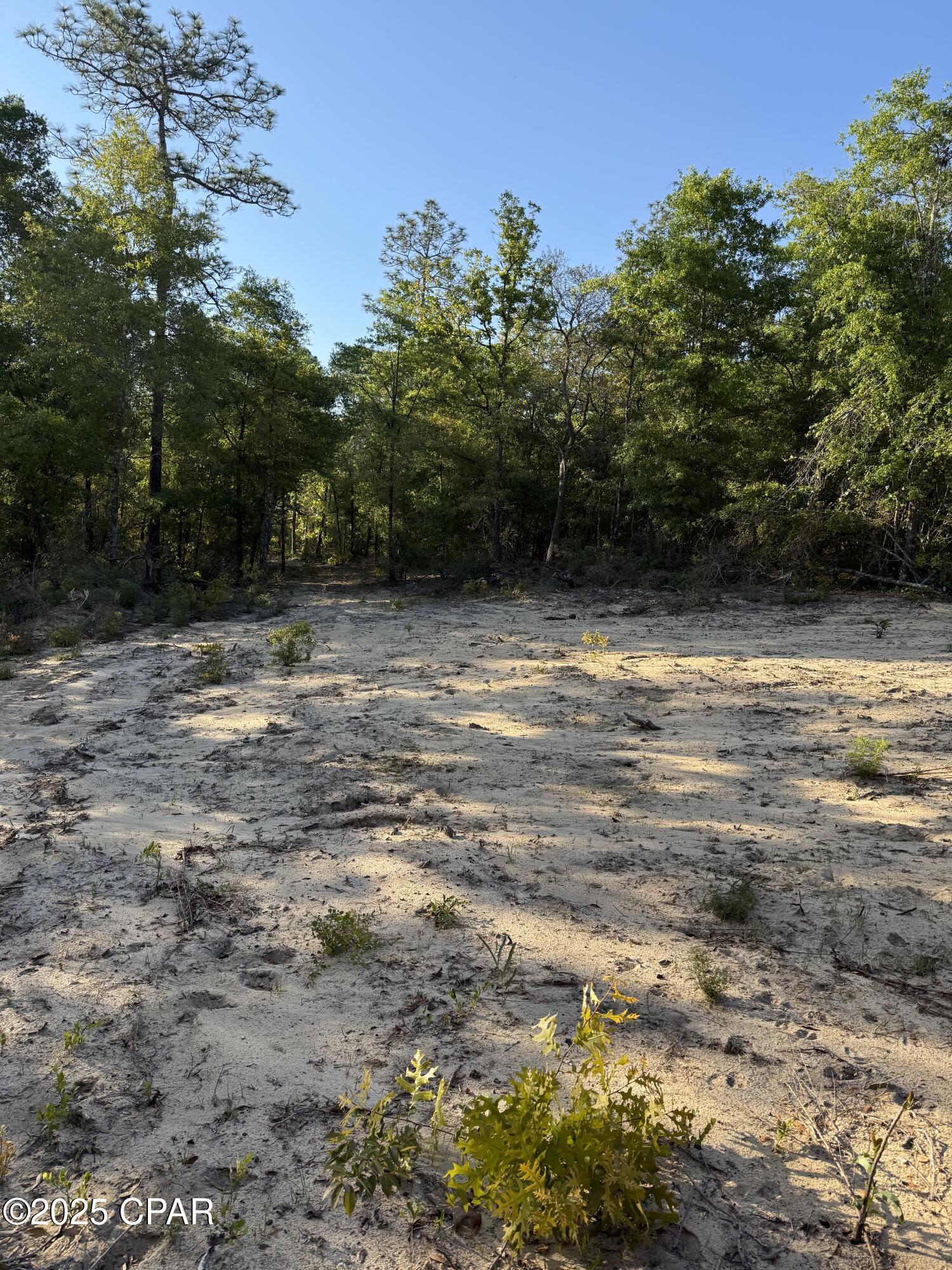 Goshun Creek Acres - Land