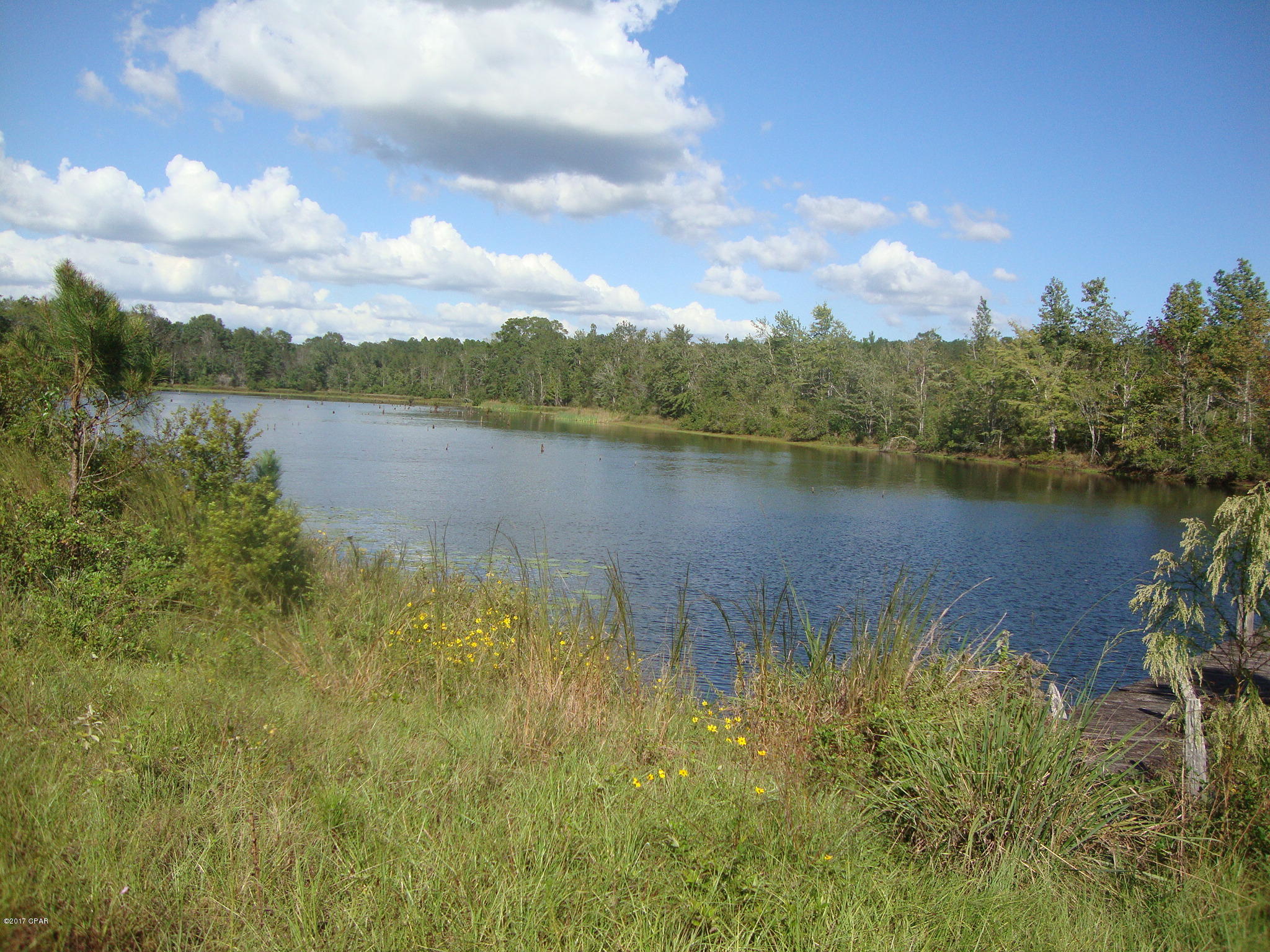 143.77 Acres More or Less of land. Pine Trees cut 1 year ago. About 14 acres is low lying and Has a nice 11 acre fish pond. About 23 acres on one side of county maintained dirt road and about 120 acres on the other side of the road. Still has some hardwood trees. Some fencing.  Can easily be turned into pasture. Lots of possible homesites over looking the nice fish pond. Short distance to town. Lots of road frontage. Check it out today.