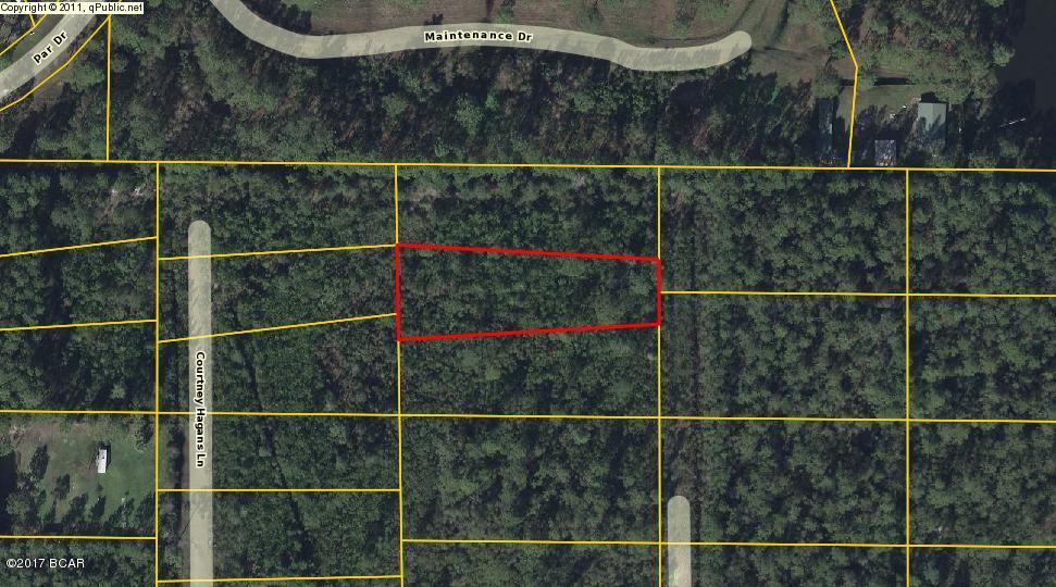 Rural lot on dirt road. 20 minutes to the grocery store, 15 minutes to Eastern Shipbuilding. Well and septic needed. 2 adjacent lots also for sale, great opportunity to purchase as many as you want for your homestead. All three equal 2.36 acres. Seller says bring all offers.