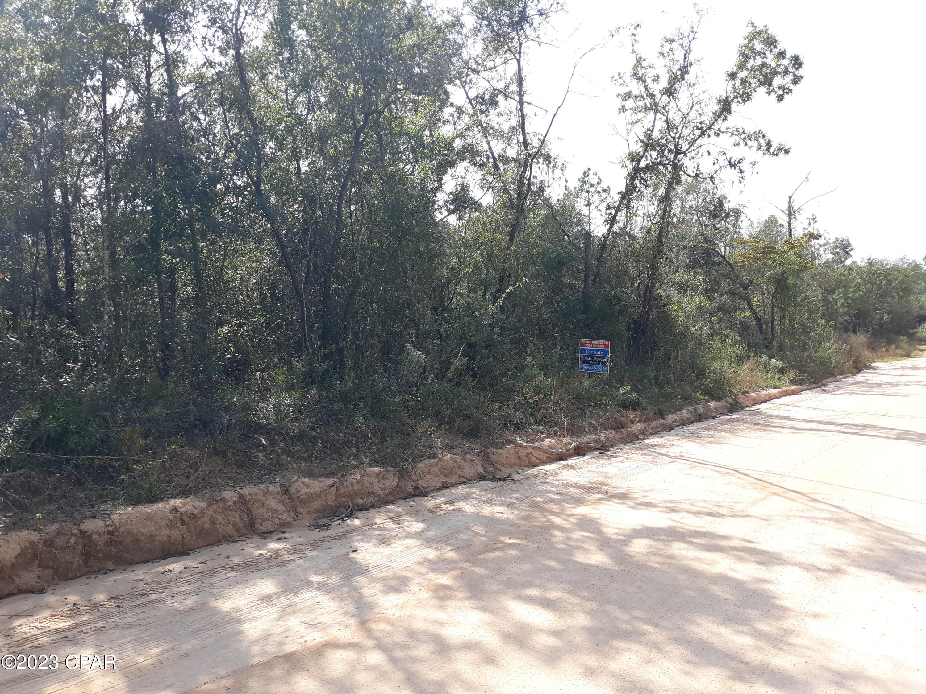 Nice lot to build your home on. Lot has beautiful trees and in a very good area. It is very level.