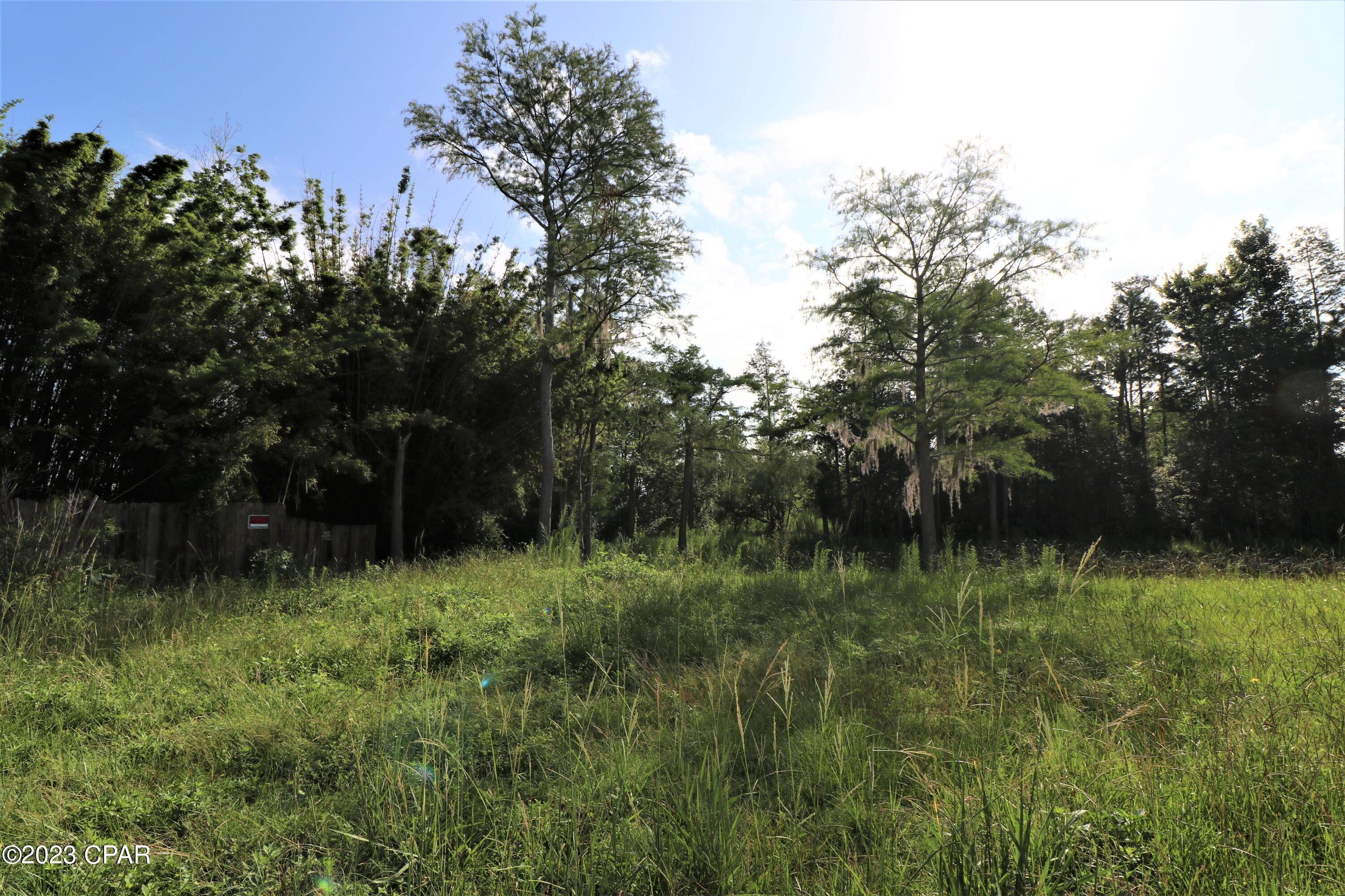 Panama Pines - Land