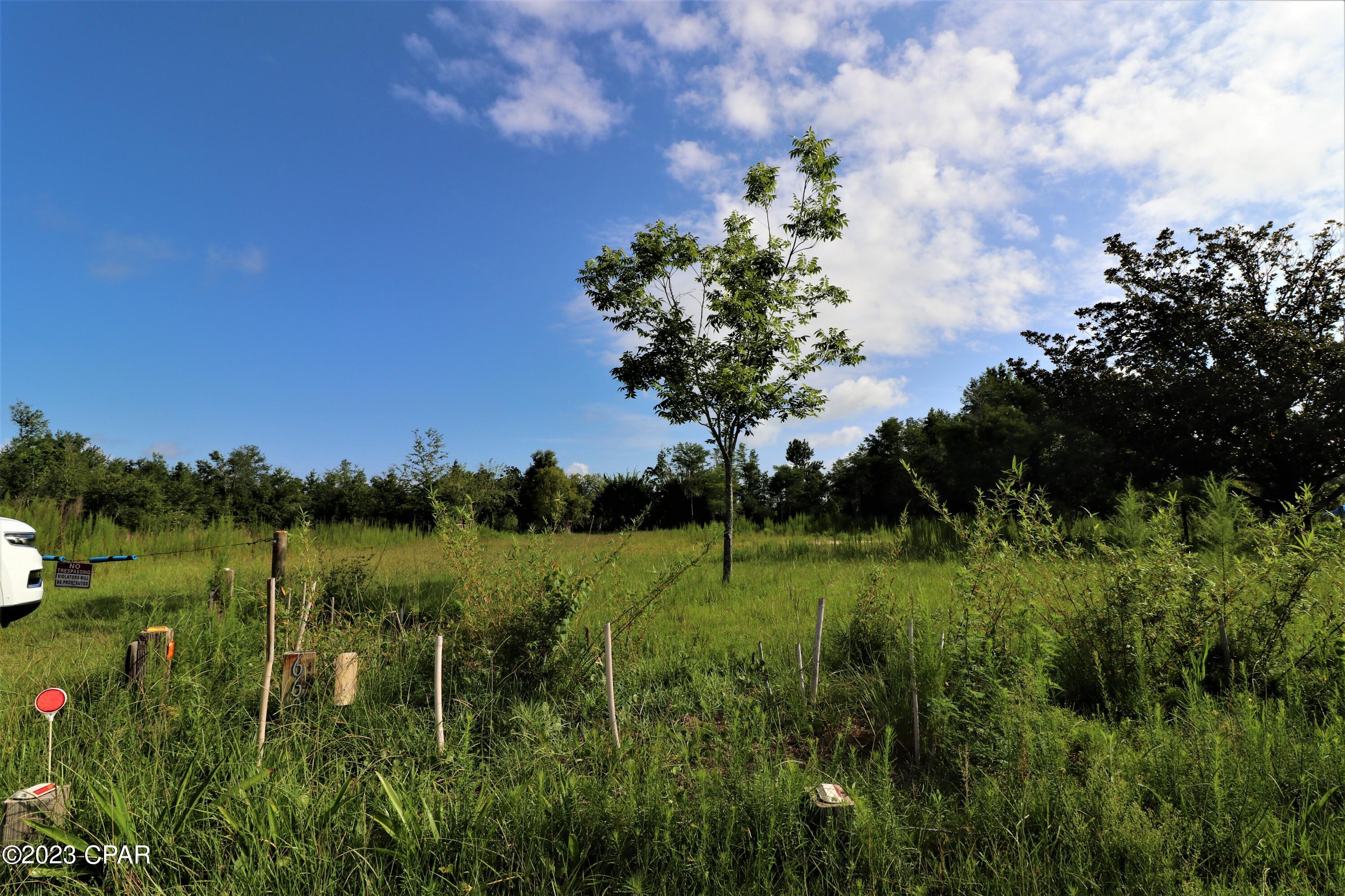 Panama Pines - Land