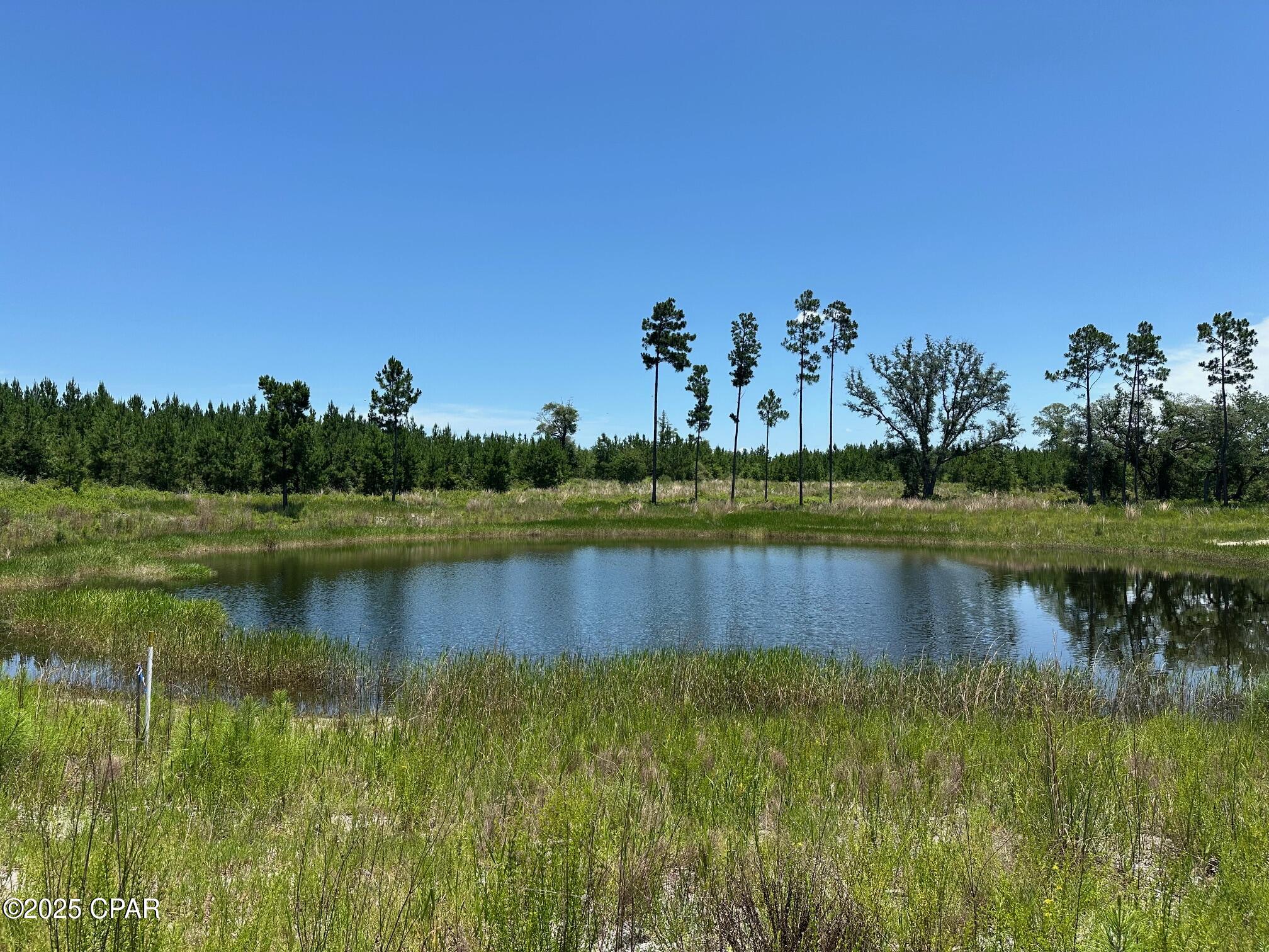 Country living at its best!  Not one, but 2 ponds on the property nestled in between planted pines.   Plenty of room to build your dream home in your corner of the world.  Located in Calhoun County FL, just North of the beaches and West of Blountstown FL.   Call today for your appointment!!