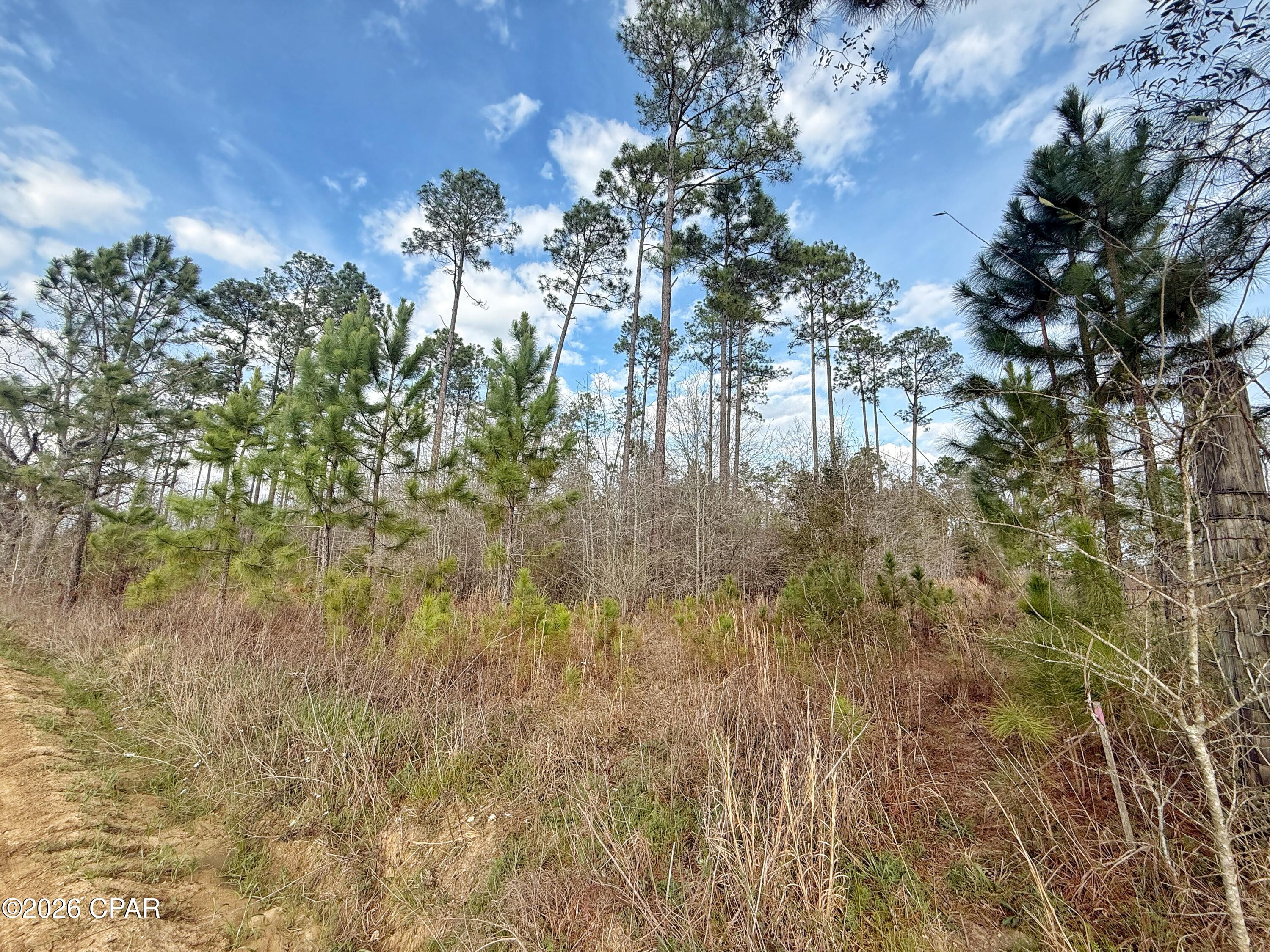 No Named Subdivision - Land