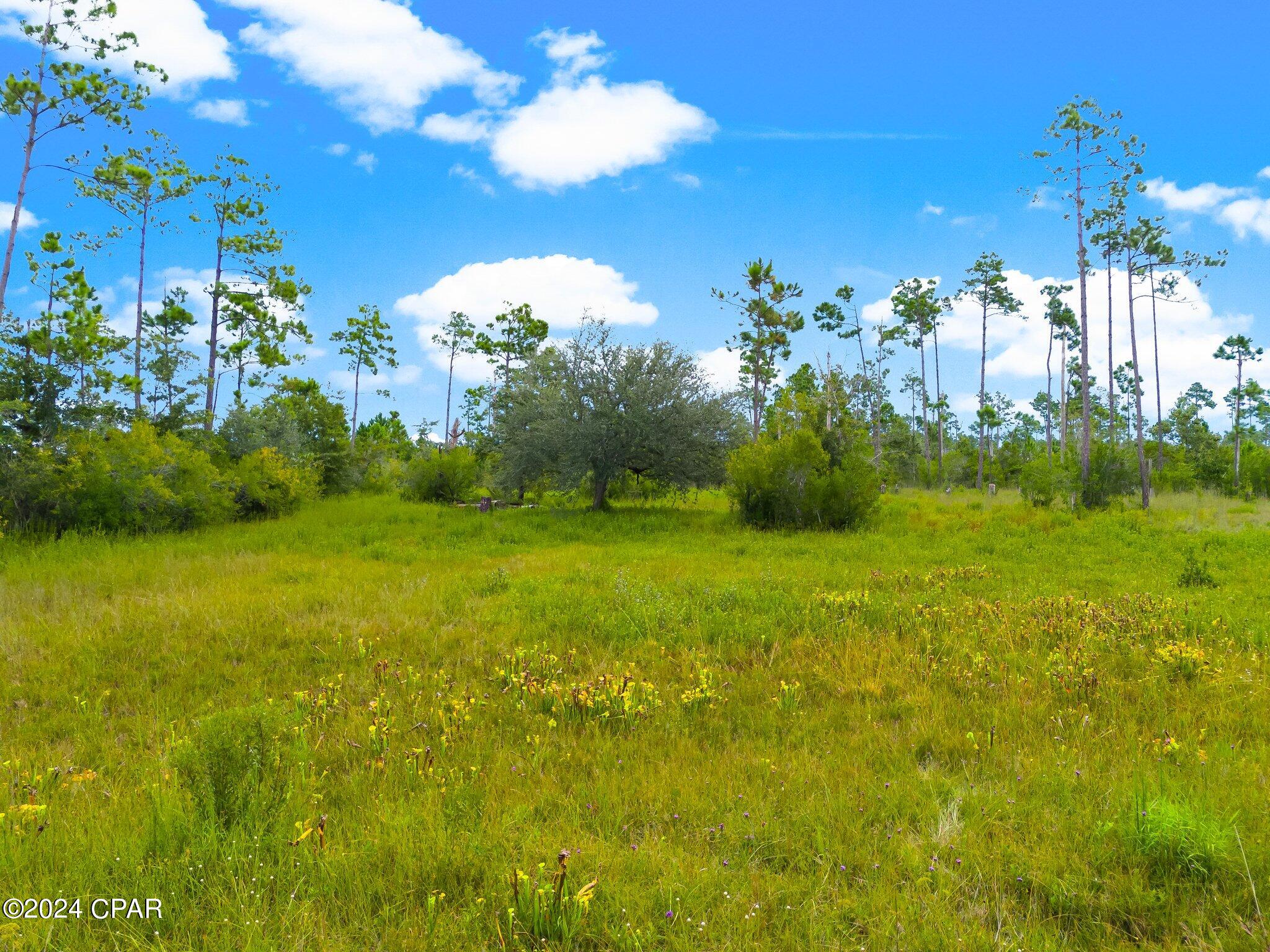 Don't miss this 1 acre lot tucked back off the main road in the Sandy Creek area.  Zoned R-1 it is mostly cleared and ready for your modular or new construction home (manufactured homes are not allowed in R-1).  Plenty of room for all of your toys.  There is a natural private road that leads to the property. Perfect for those seeking a quiet, private homesite.  Go and view it today! This property is Flood zone A and designated wetlands. There is no sign on the lot.  The wetland delineation has been completed showing that only the front area is a wetland.  The report is attached.  A building permit is still required from the Florida Dept of Environmental Protection.
