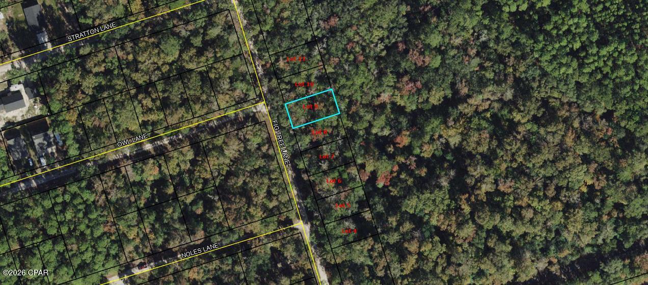 Vacant lot available on Fig Tree Ln in Crawfordville. Great opportunity for builders or investors in a growing area. Convenient and peaceful location just a short drive to the coast. Note: This listing is for one lot. A total of eight adjoining lots are available for purchase.

Buyer to verify all measurements, lot dimensions, and any information deemed important.