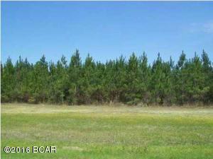 GREAT opportunity to own 20 acres with 1175 sq ft of Hwy 90 Frontage in Marianna. There is some wet areas on the East side of the property that may be unsuitable for building. 4 acres was zoned MUUT, Mixed-Use-Urban-Transitional, which would allow multi-family units, SF homes or light commercial such as convenience store.