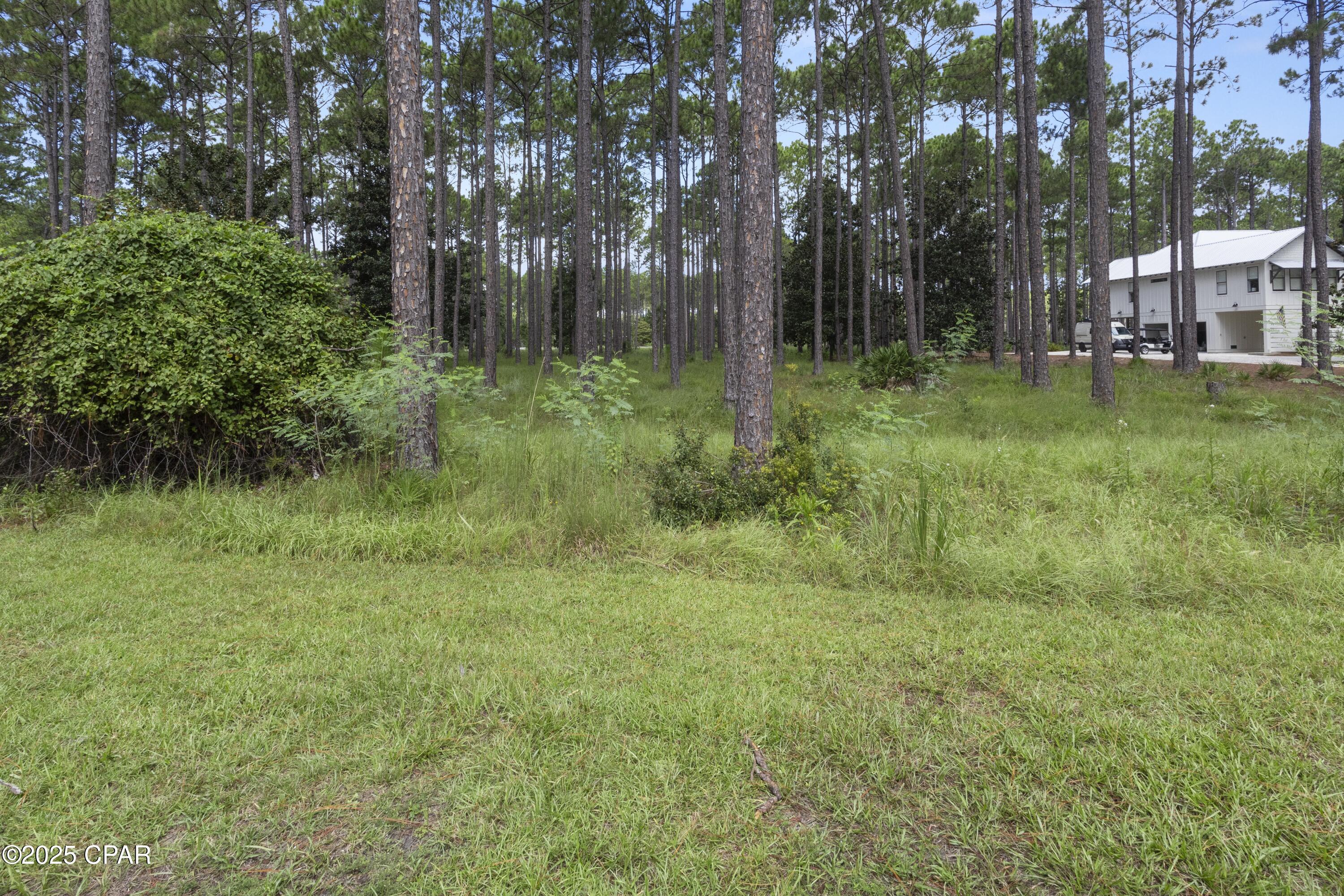 Rivercamps On Crooked Creek Ph 3 - Land