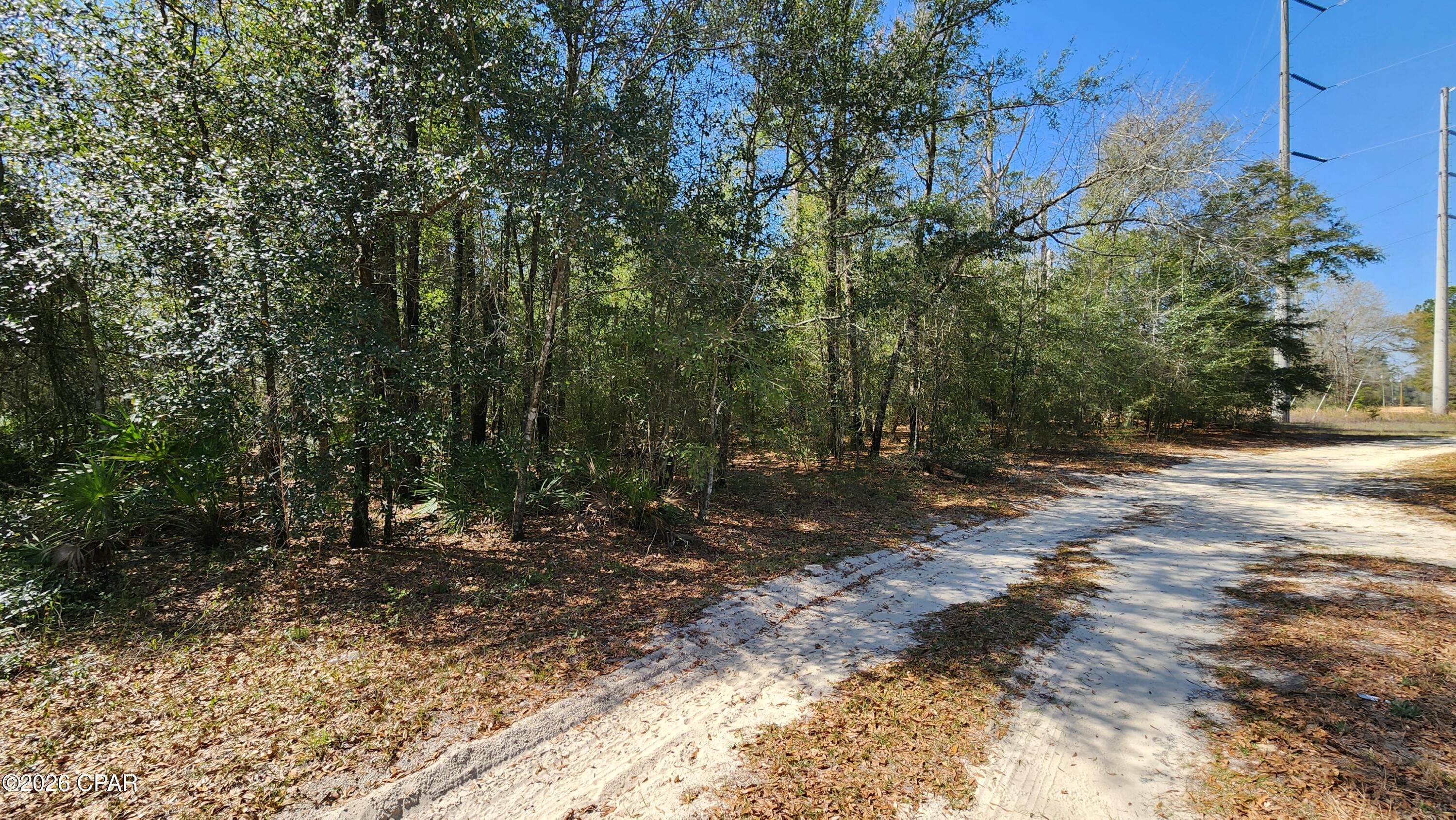 Pinecrest - Land